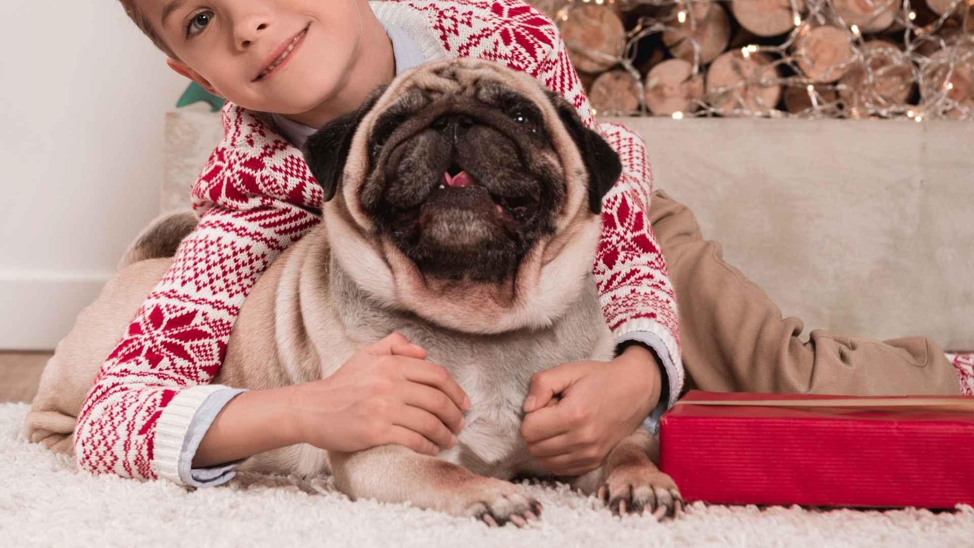 9 Child-Tolerant Dog Breeds That Are Patient and Loving