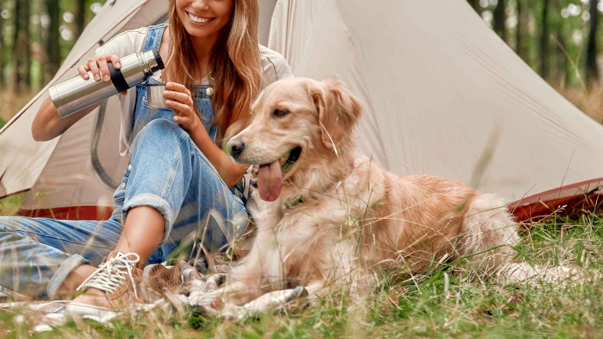 9 Dog Breeds That Love Campsite Living: Loyal, Brave, and Trail-Ready
