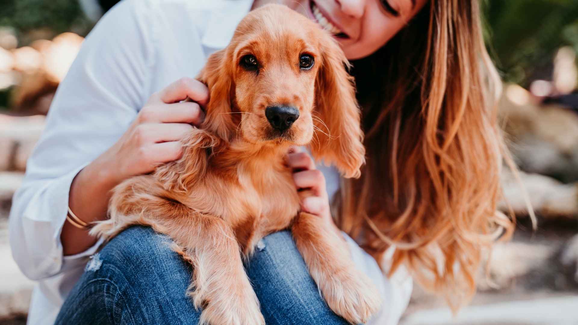 9 Dog Breeds That Love Hard and Stay Loyal for Life