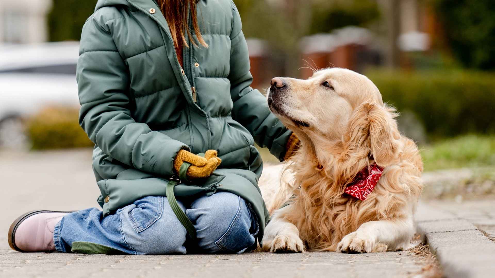 9 Dog Breeds That Sense Your Moods Instantly and Offer Comfort