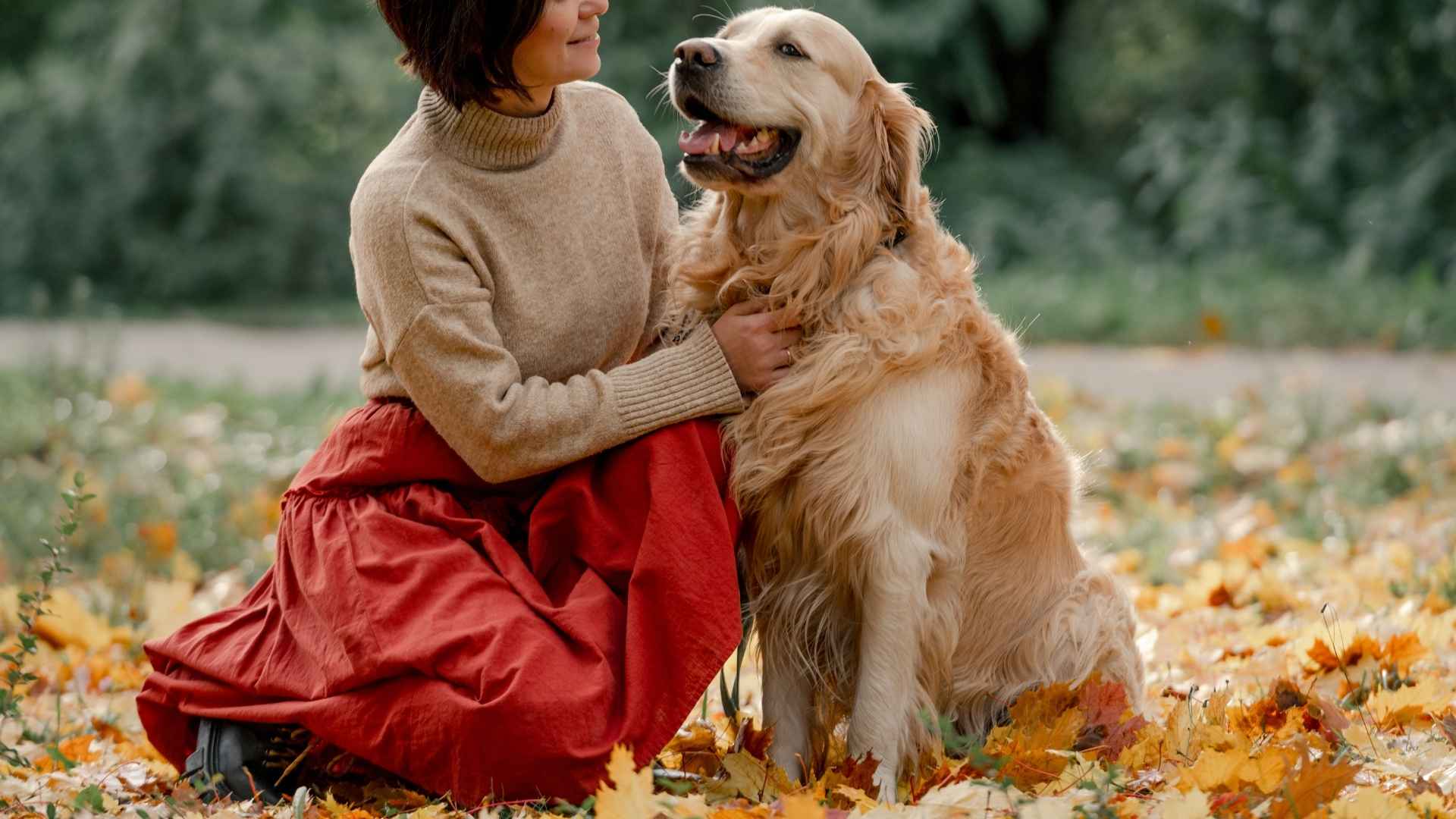 9 Dog Breeds That Understand Emotions Like a Pro
