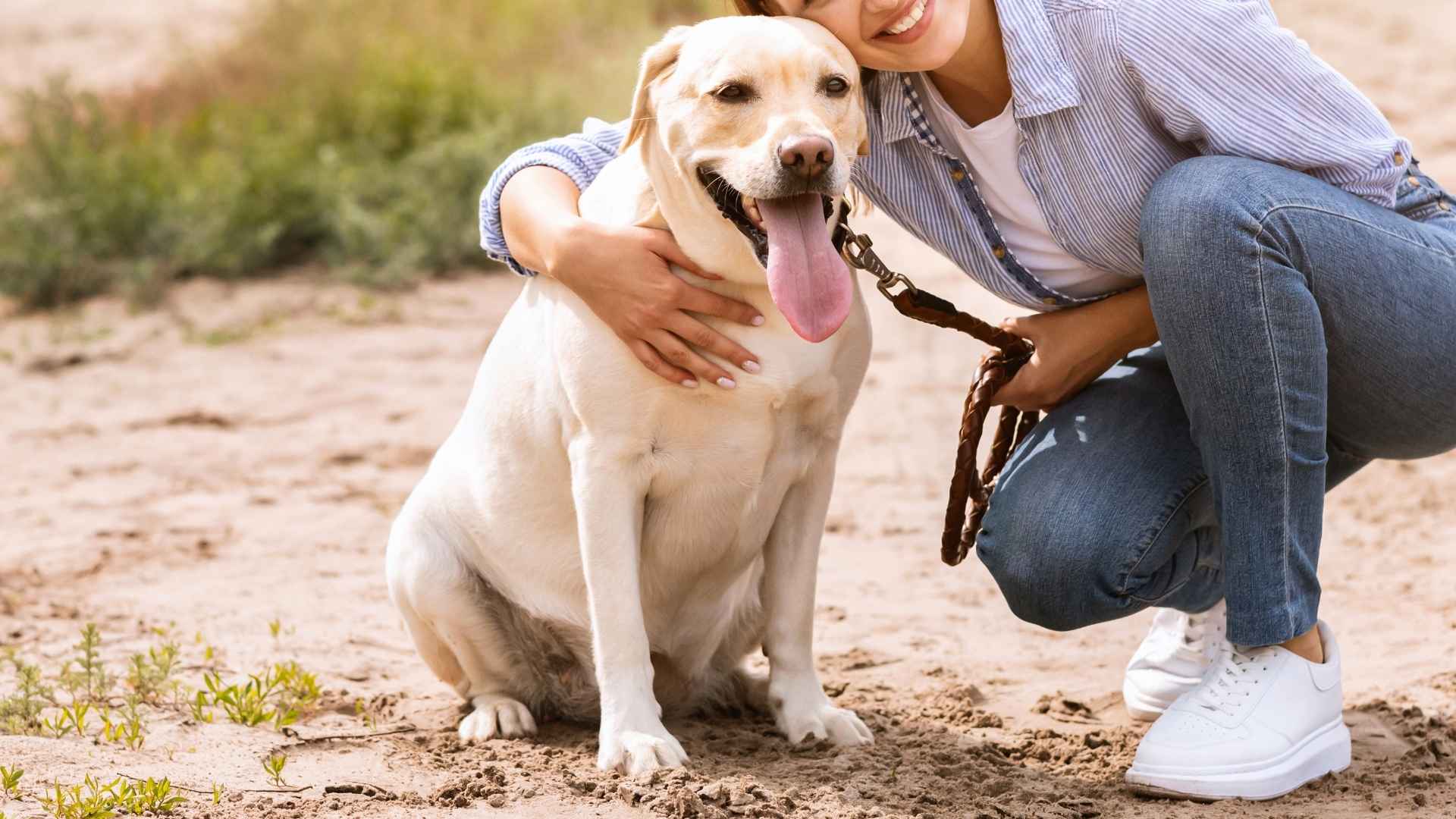 9 Loyal Dog Breeds That Make You Feel Special Every Day