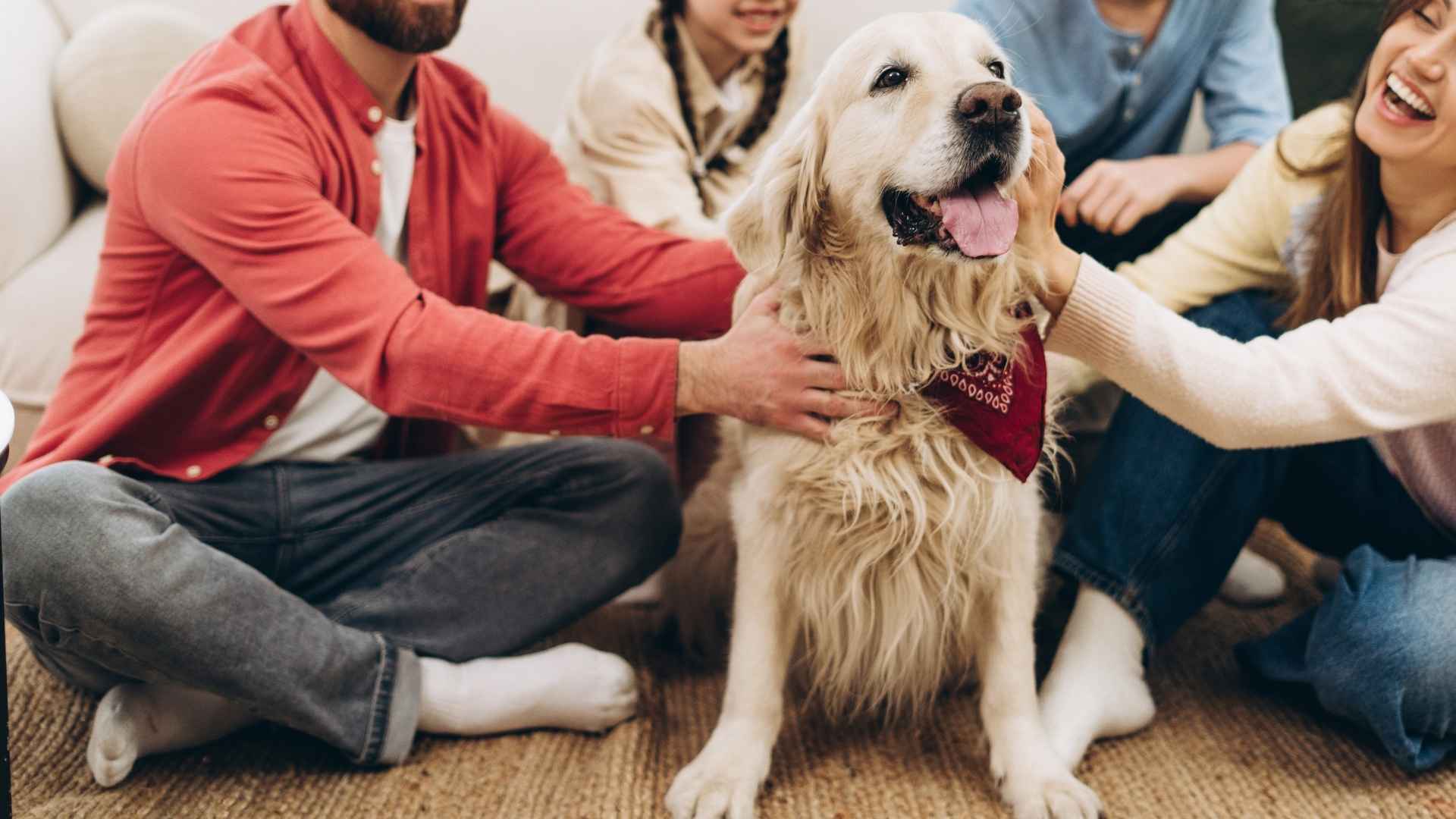 9 Playful Dog Breeds That Love To Entertain Families