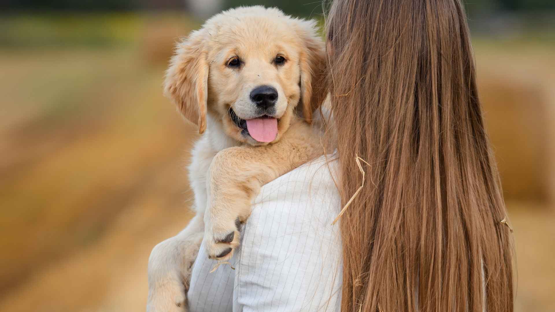 9 Puppy Breeds that are Social and Love to Interact with People
