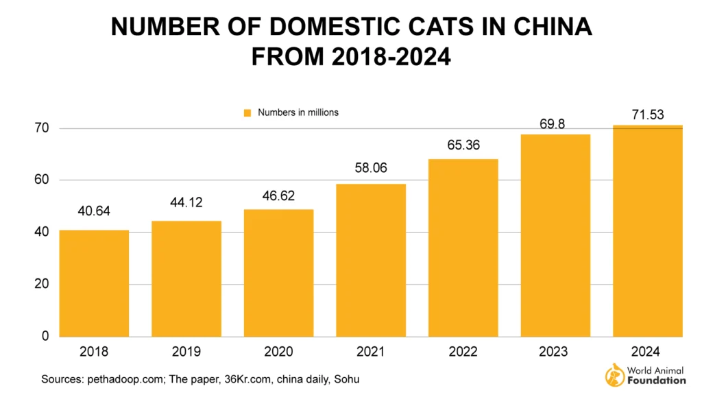 how many cats are in the china