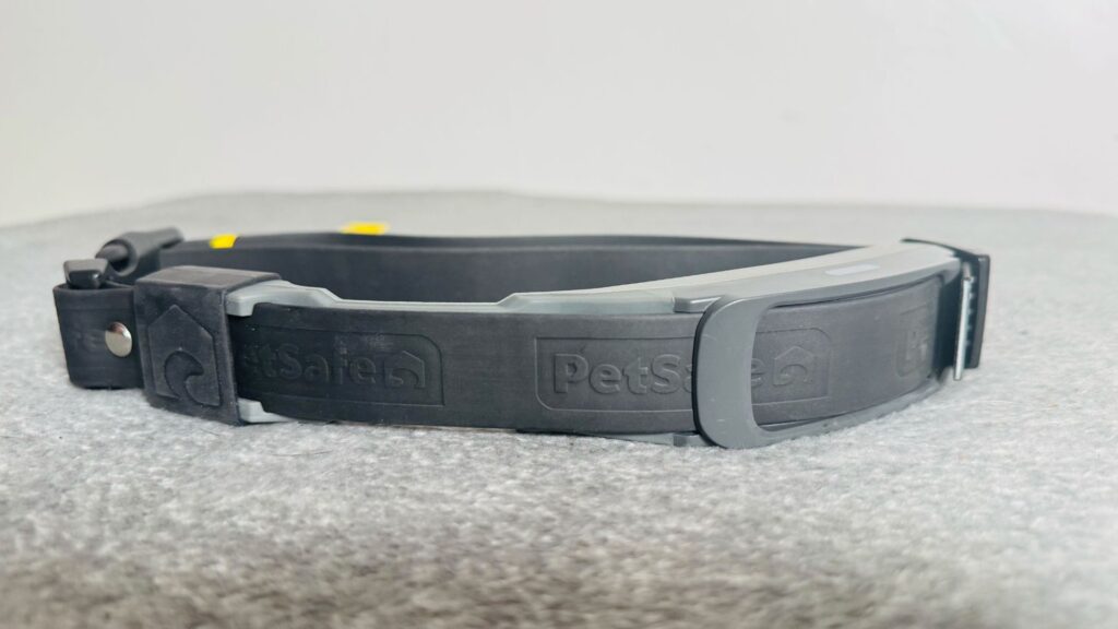 dog's safety with other collars