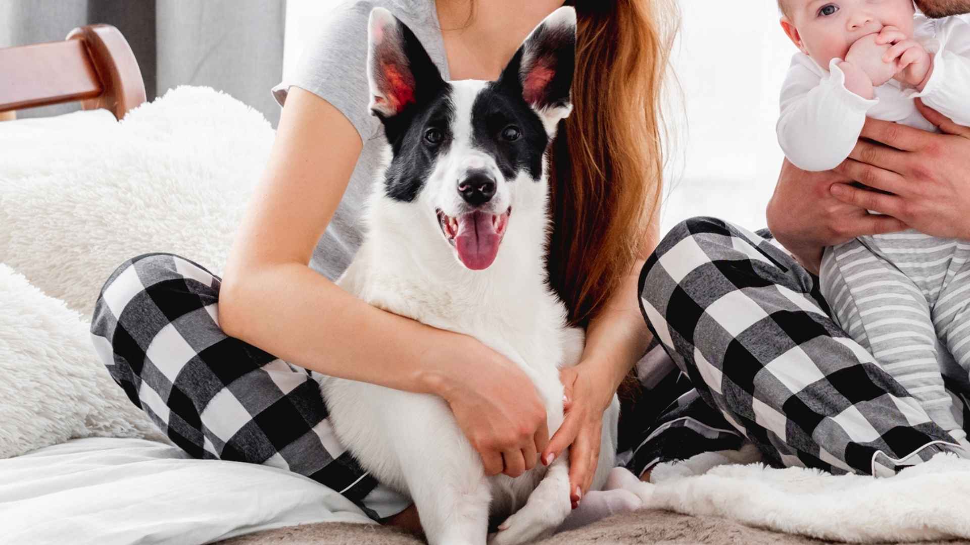 Top 10 Dog Breeds for New Parents with Big Hearts