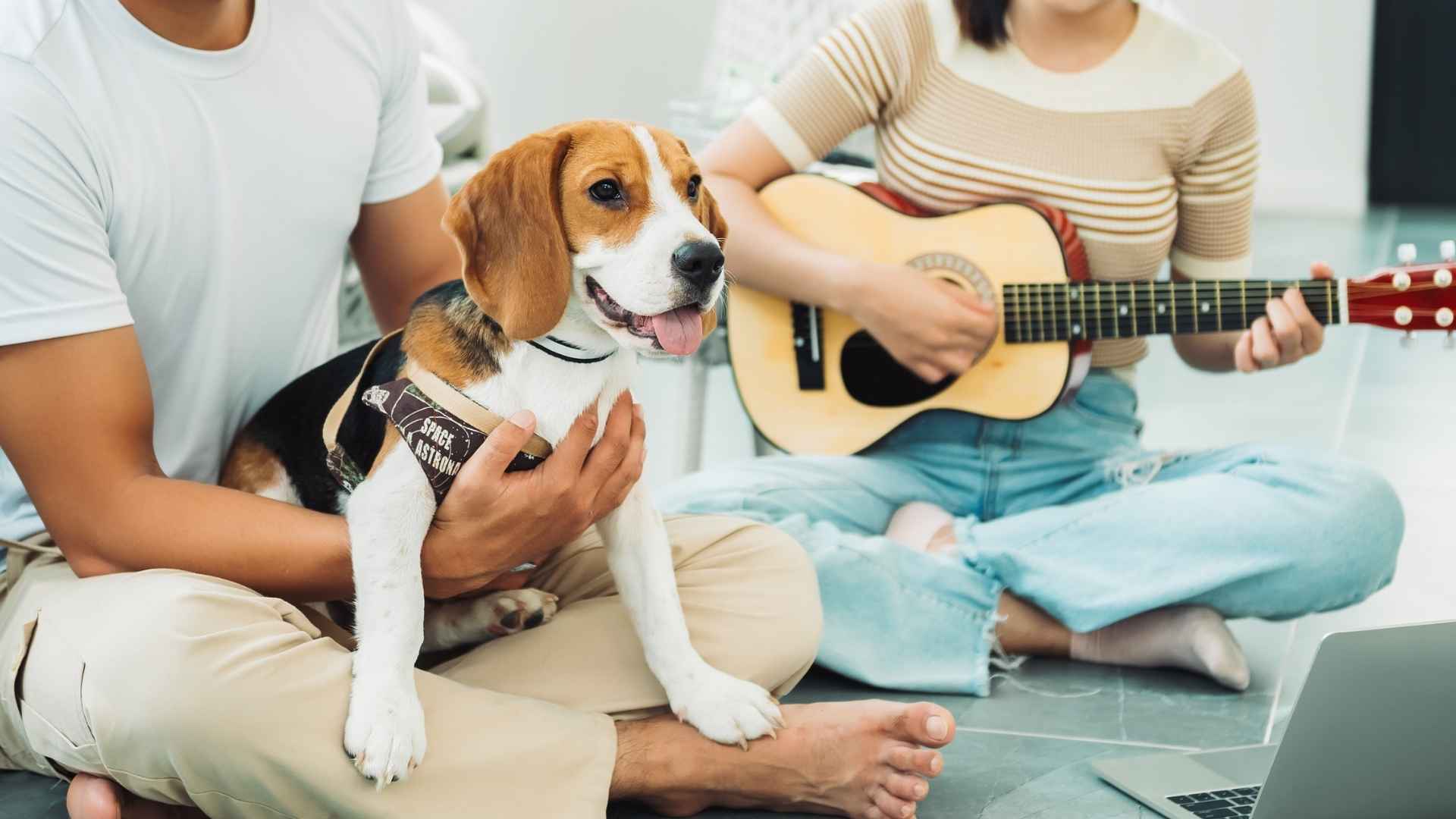 Top 7 Dog Breeds That Love Music and Stay Happy Listening to Tunes