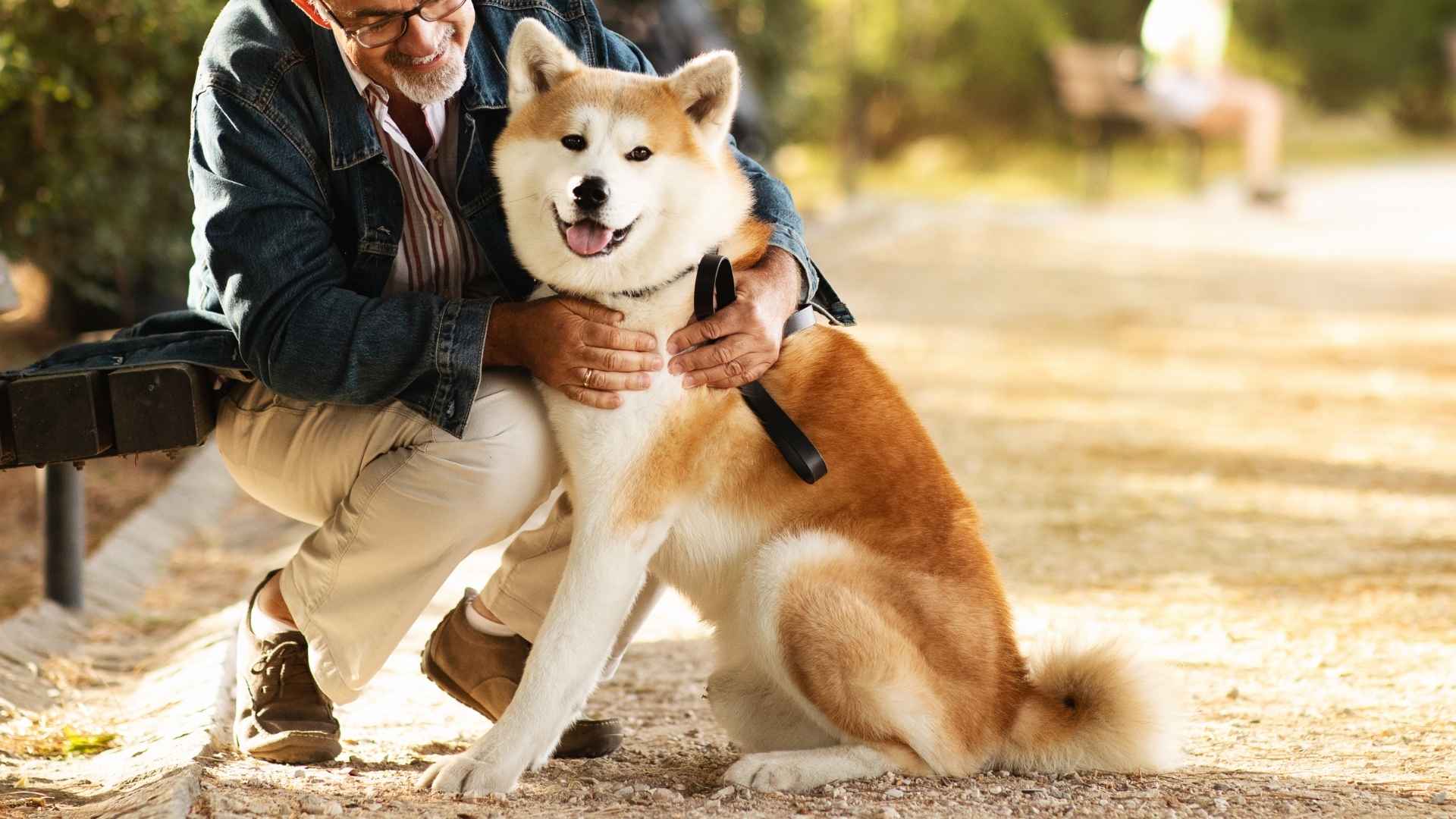 Top 7 Dog Breeds Who’ll Follow You To The Ends Of The Earth