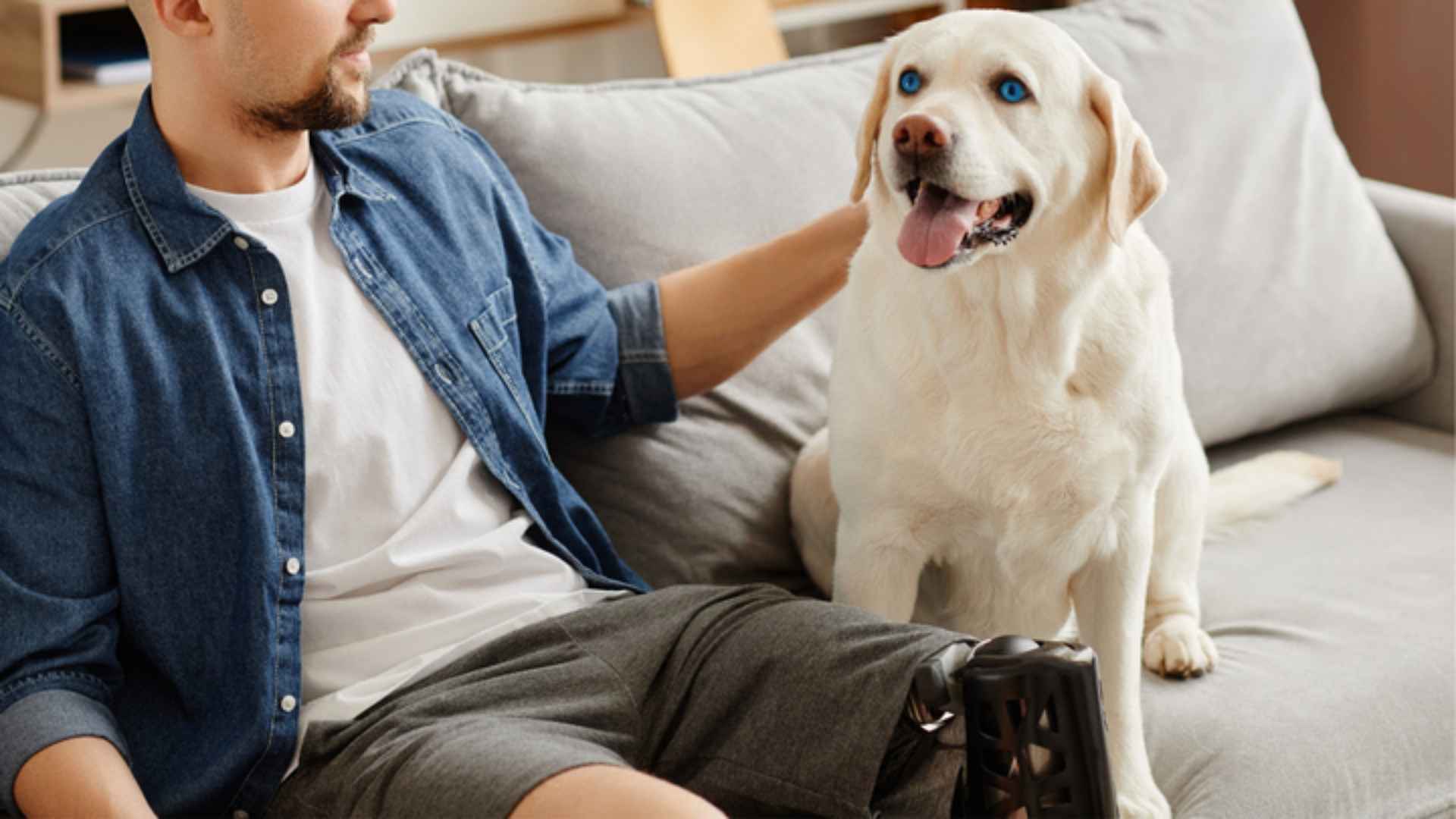 Top 7 Dog Breeds with Blue Eyes for New Pet Owners