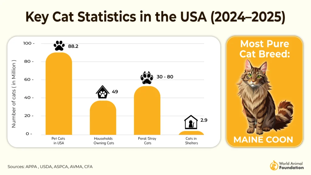 How Many Cats Are in the USA