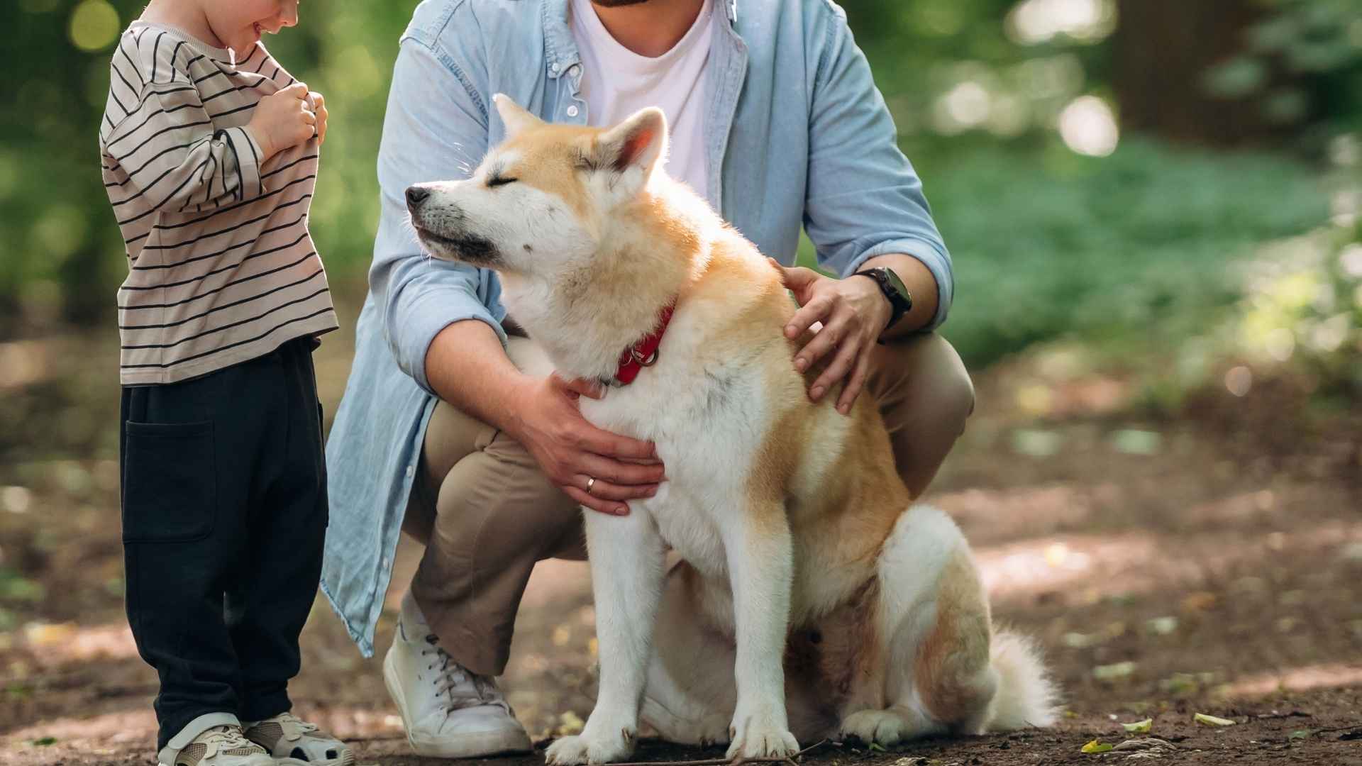 10 Best Guard Dogs For Protective Single Parenthood