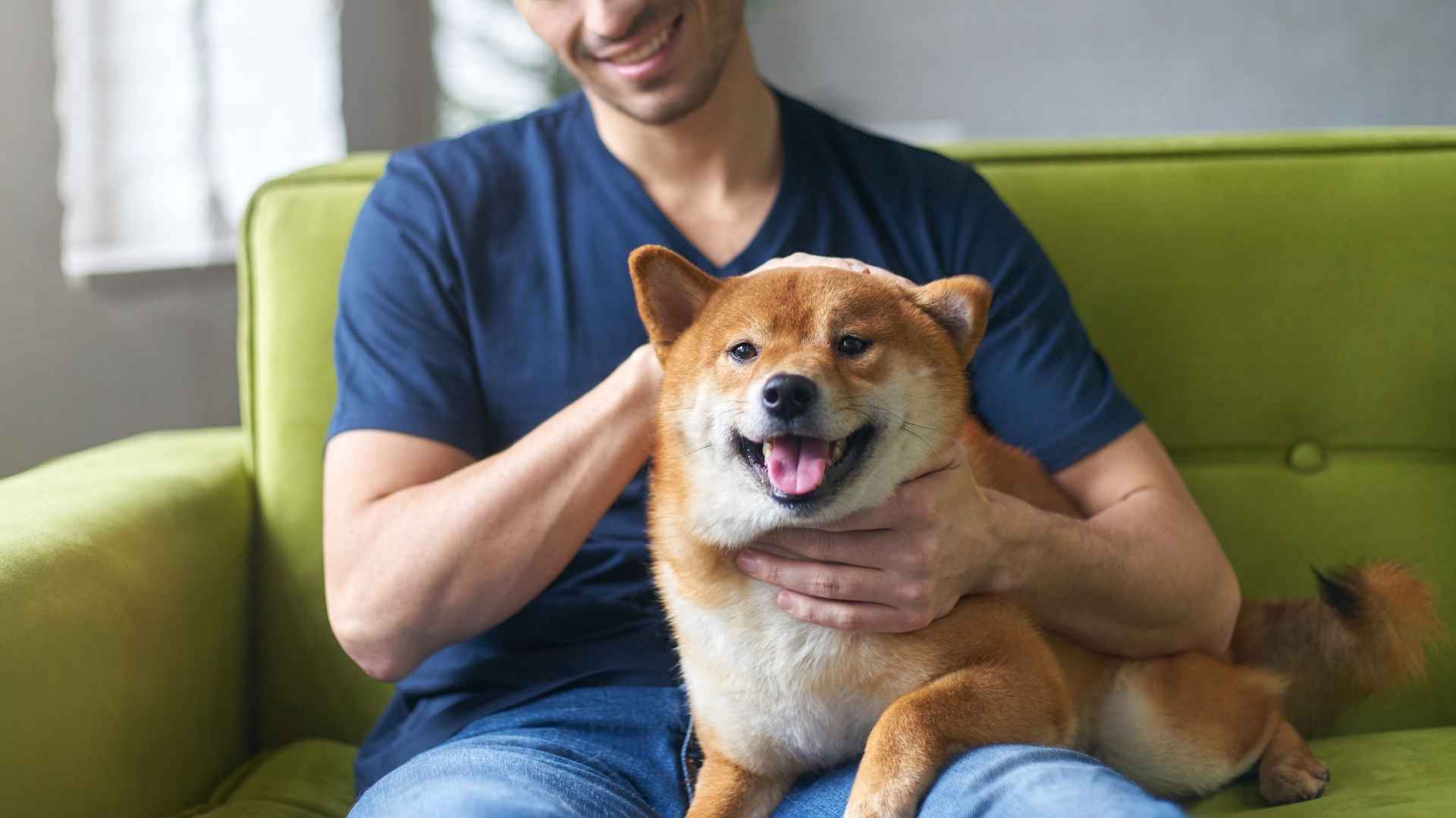 10 Best Loyal Dog Breeds To Have Forever