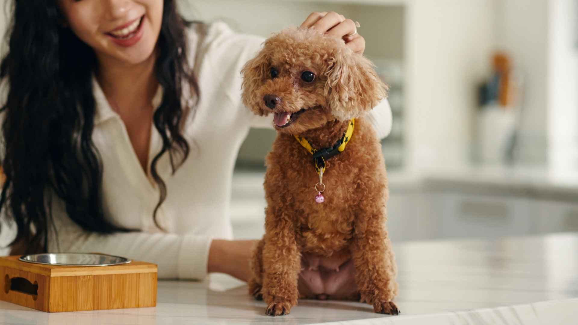 10 Dog Breeds For Kids That Are Calm And Friendly