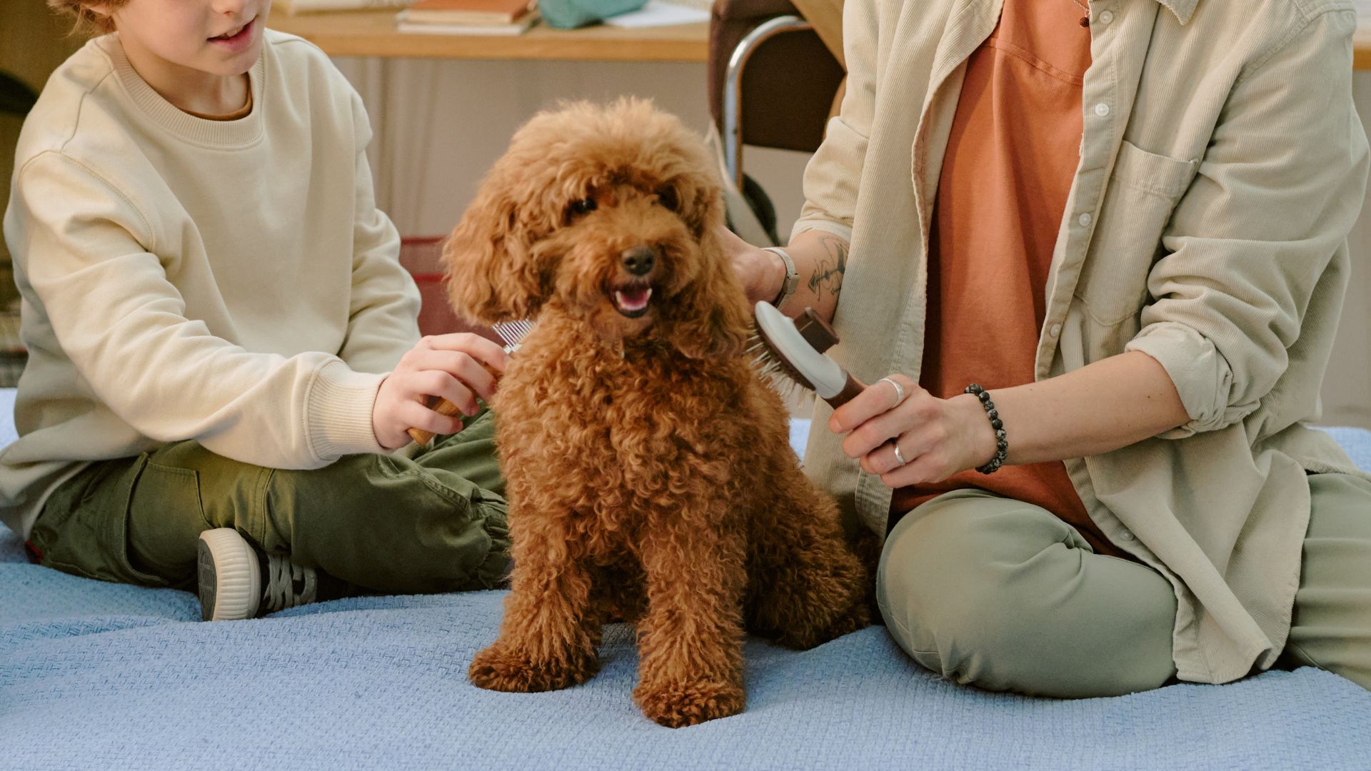 10 Dog Breeds with the Sweetest and Loveliest Nature for Your Family