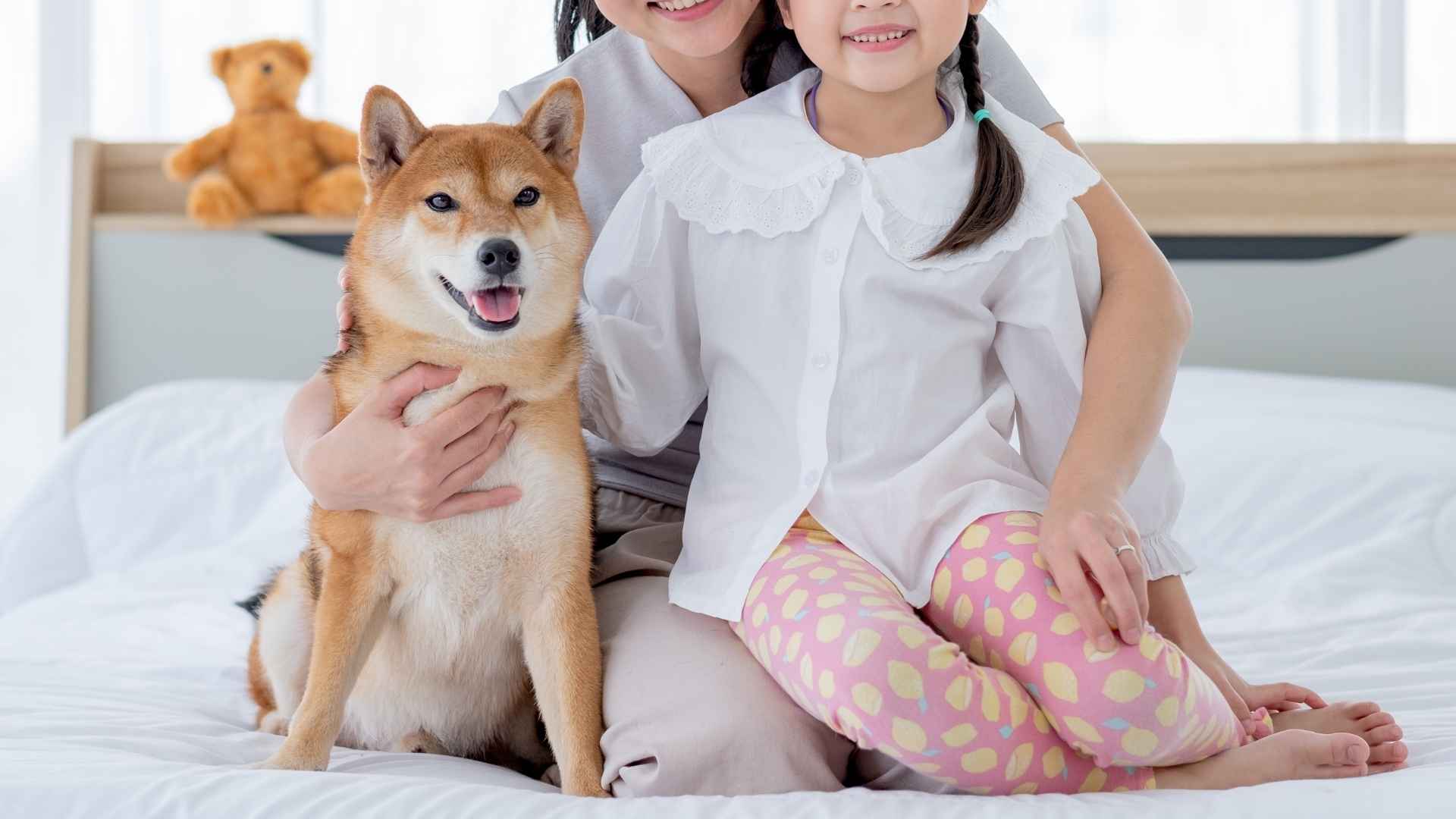 7 Best Dog Breeds For Health-Conscious Families