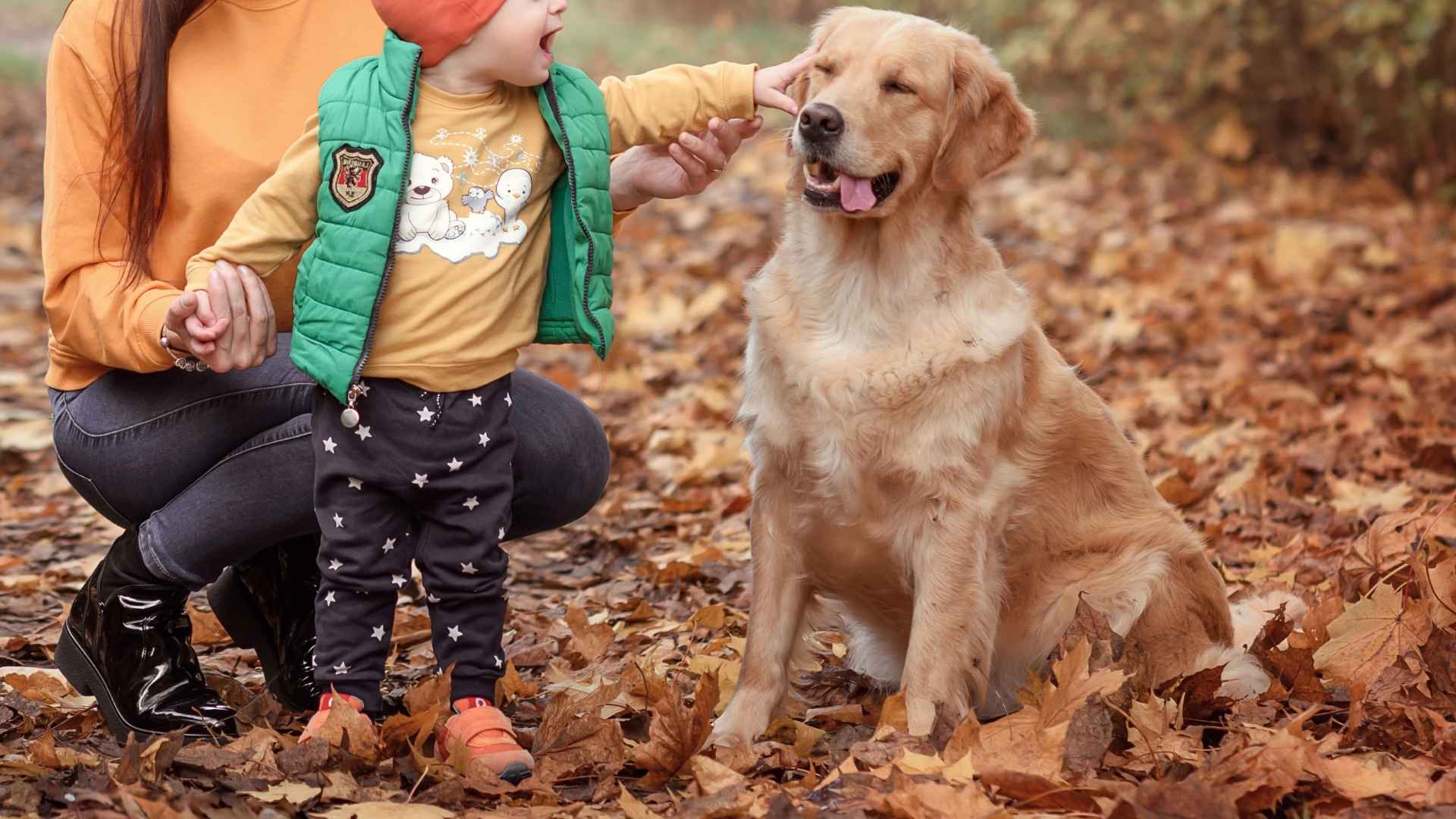 7 Best Dog Breeds For Single Ladies With Kids