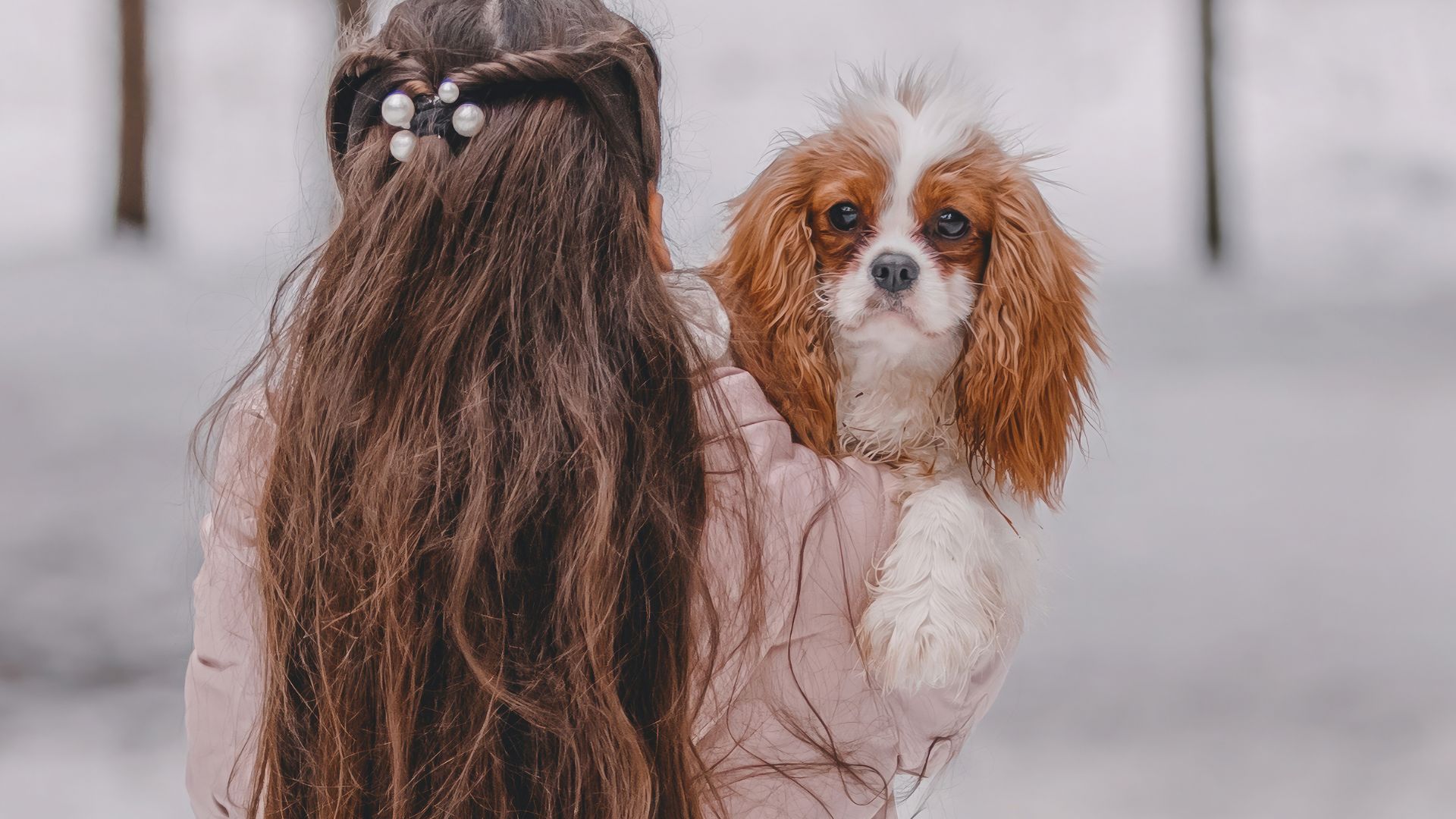 7 Best Dog Breeds For Those Seeking Genuine Connections