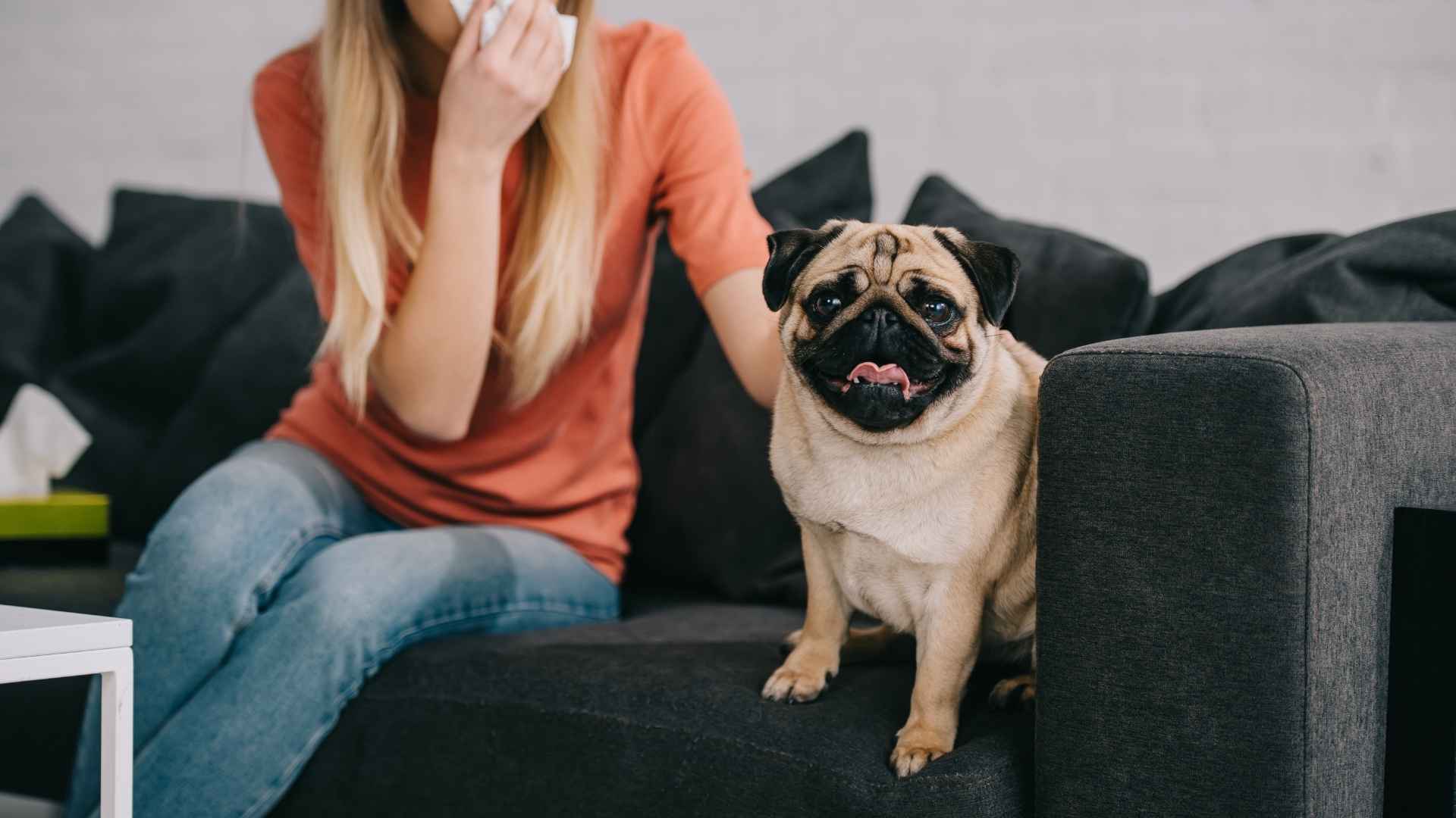 7 Best Dog Breeds To Avoid For Your Health