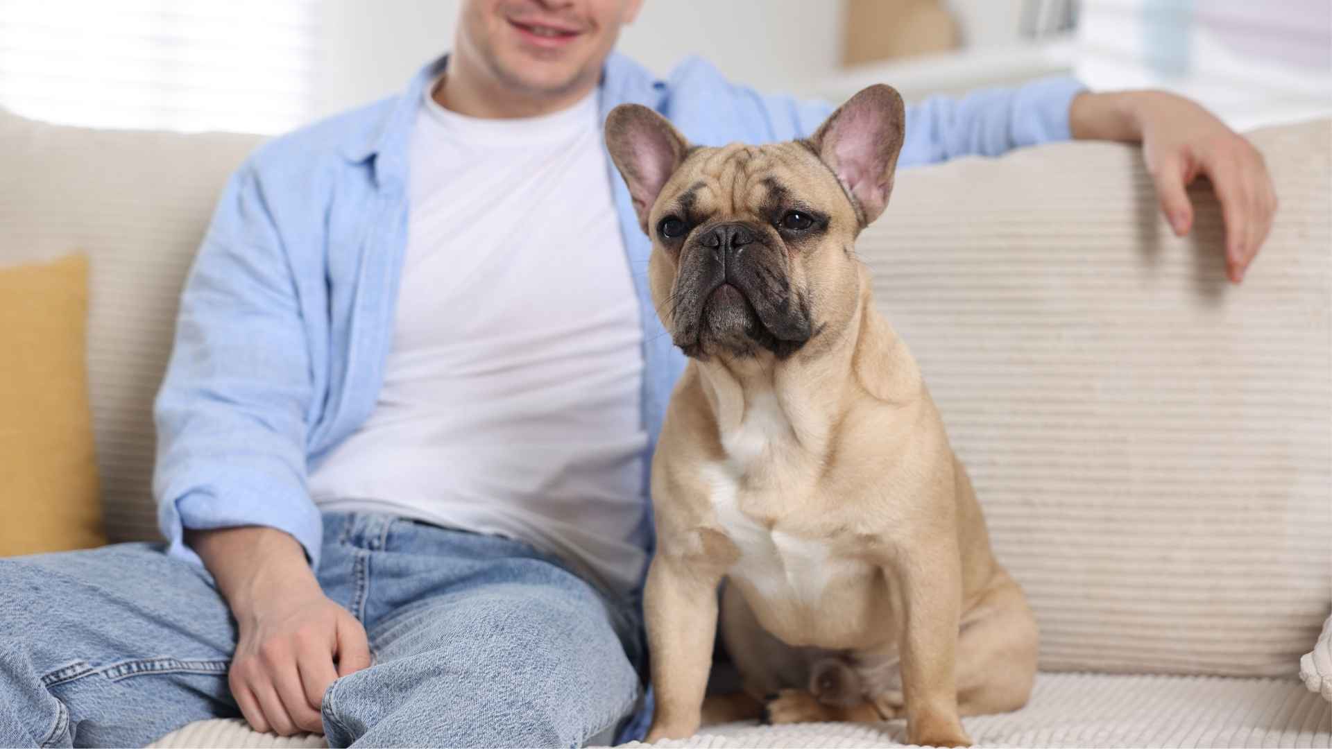 7 Best Dog Breeds for Solo Owners