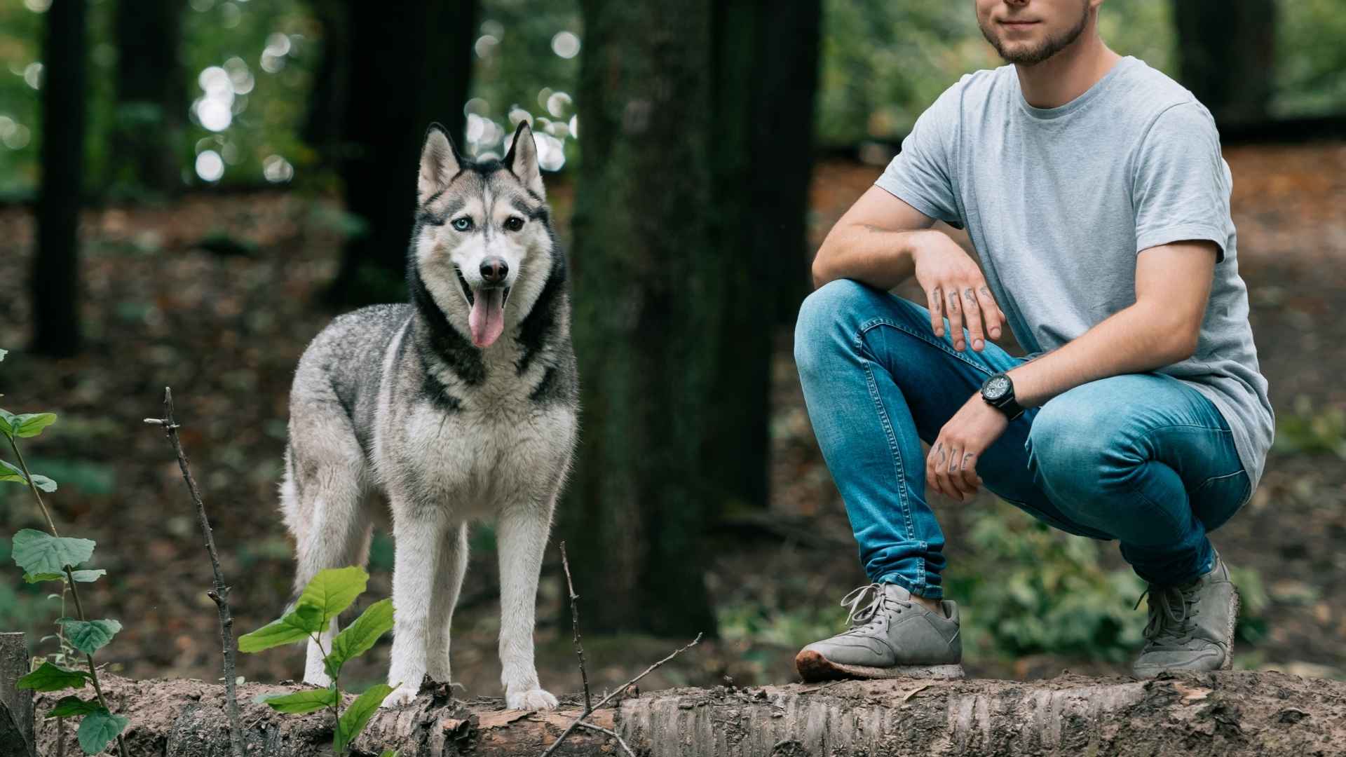 7 Best Dog Breeds for Wildlife Trips