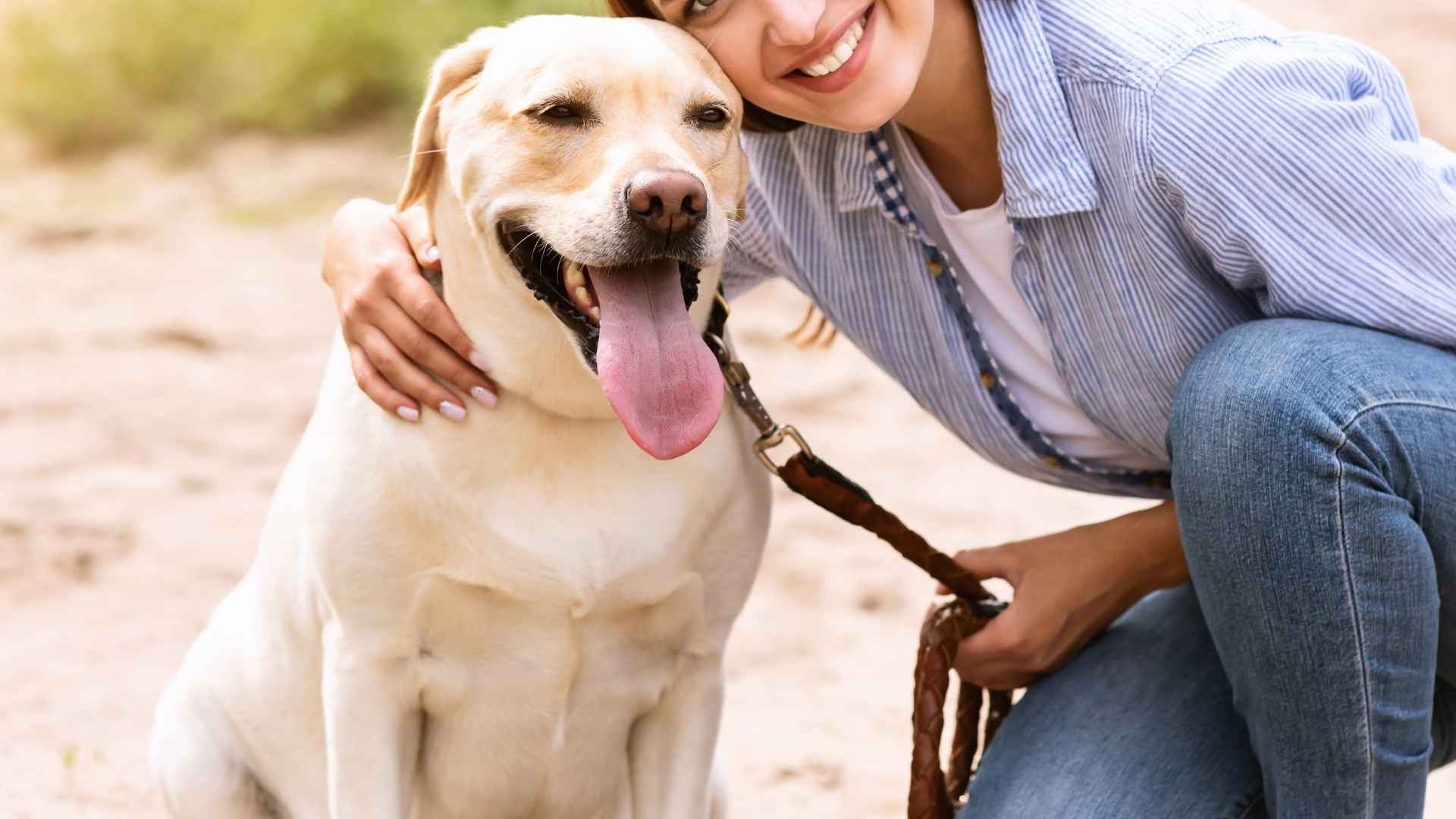 7 Dog Breeds Blessed With Unconditional Love and Loyalty