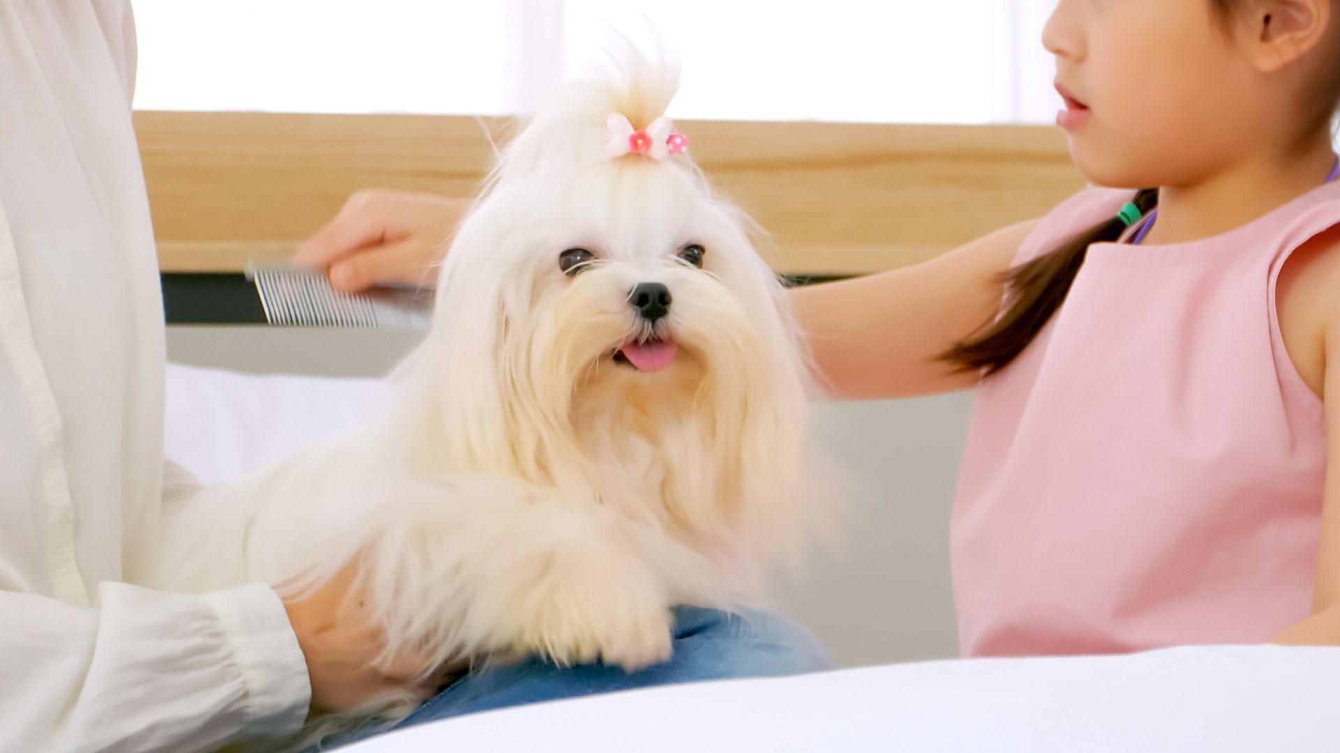 7 Dog Breeds For Children That Will Never Say No
