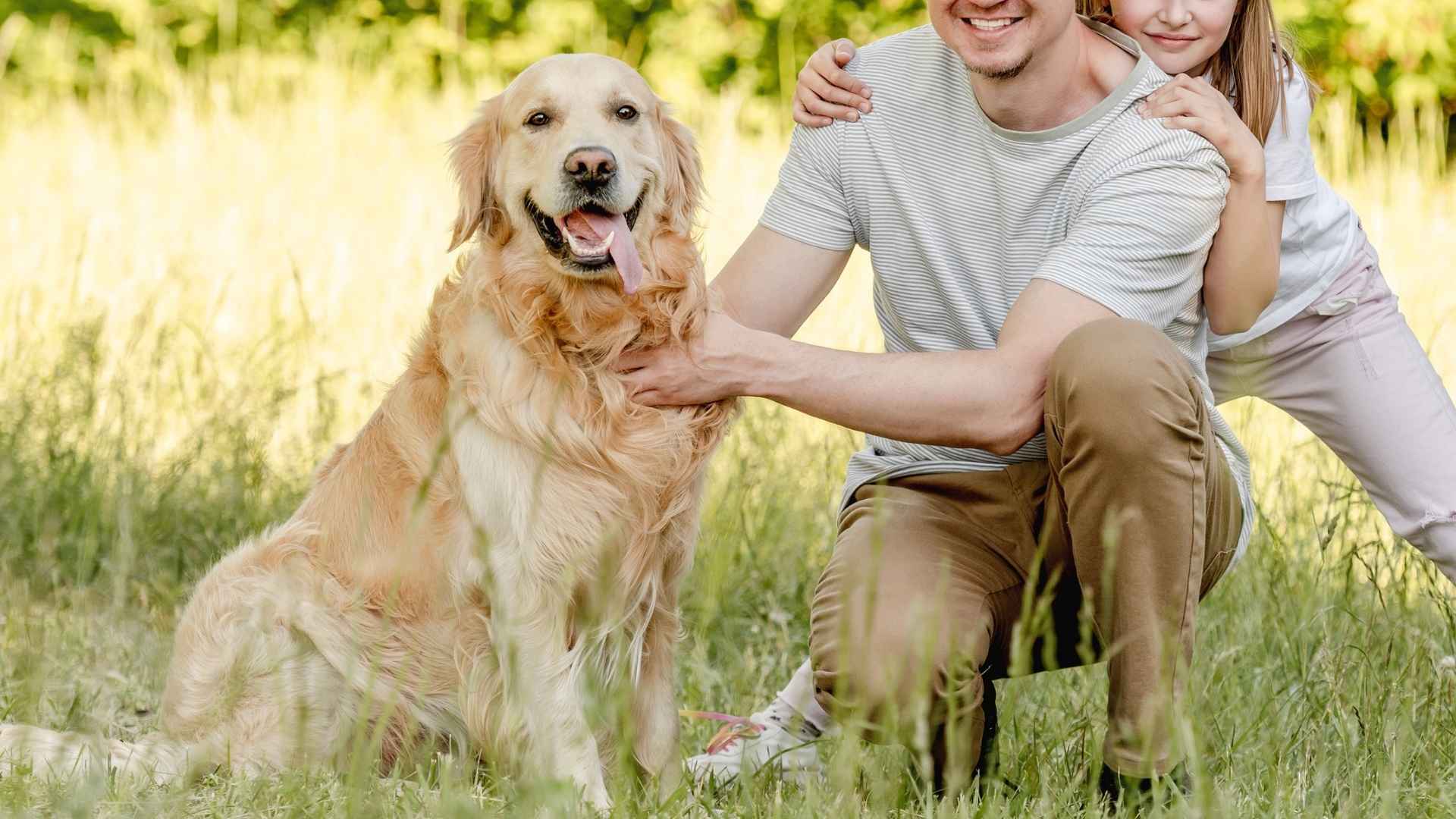 7 Dog Breeds For Single Men With Kids