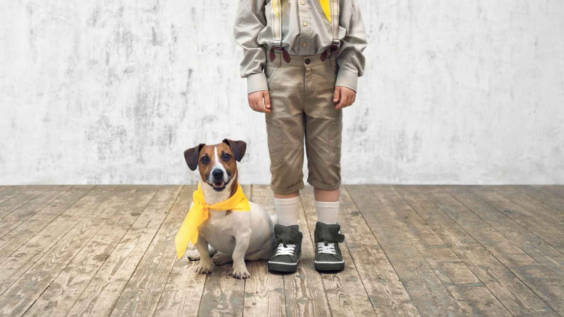 7 Dog Breeds That Calmly Let Kids Dress Them in Costumes