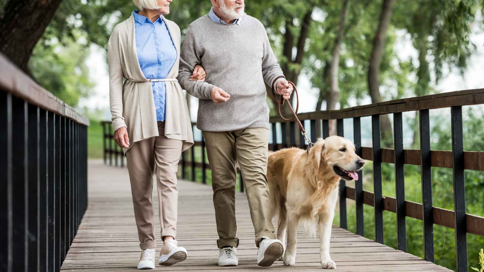 7 Dog Breeds That Enjoy Walking Slowly With Seniors