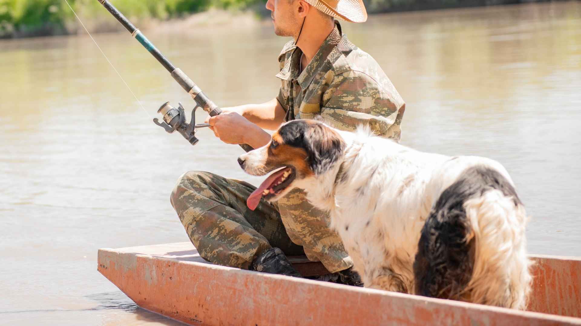 7 Dog Breeds That Guard Fishing Gear Near Rivers
