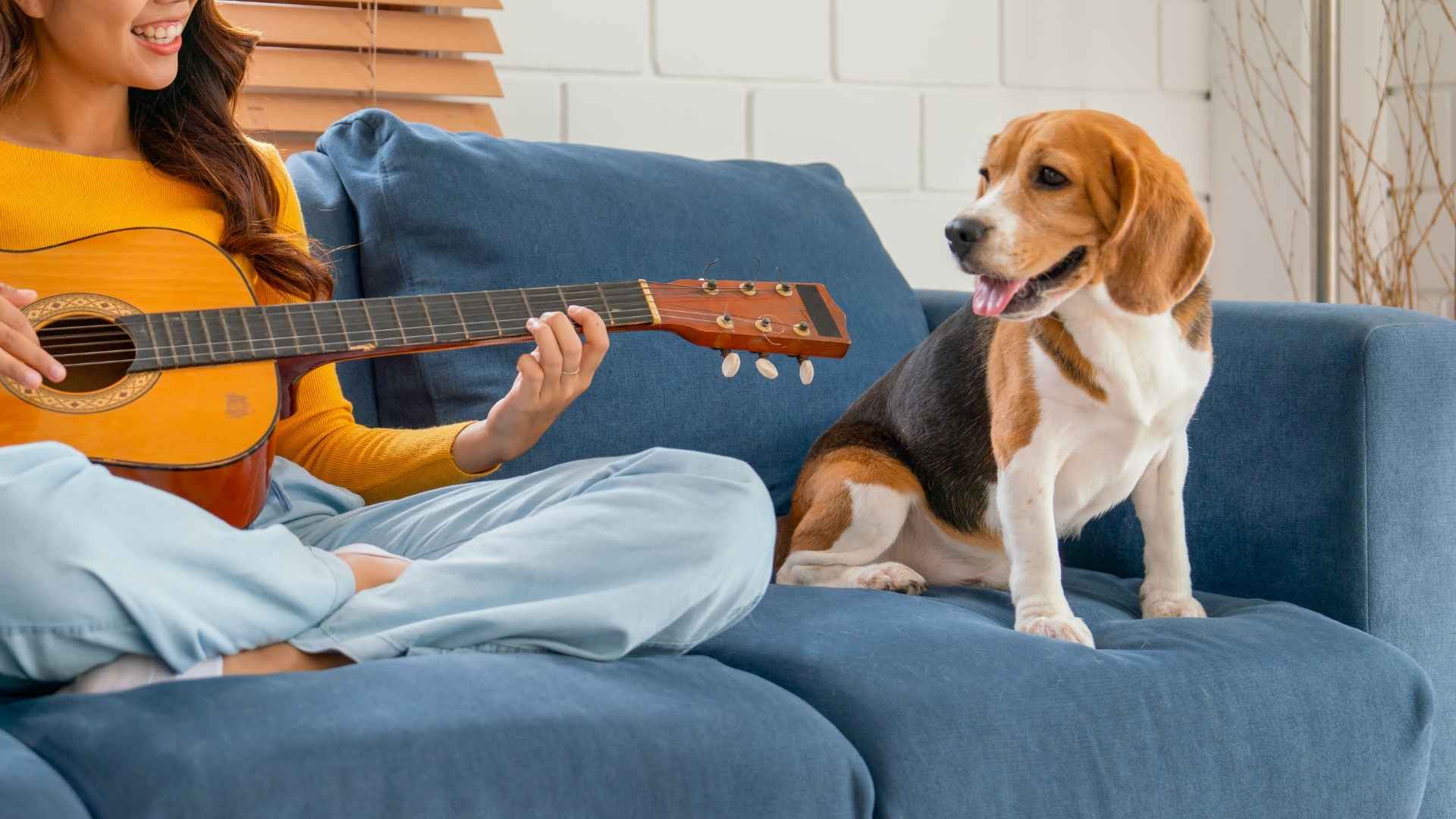7 Dog Breeds That Howl When Favorite Song Plays