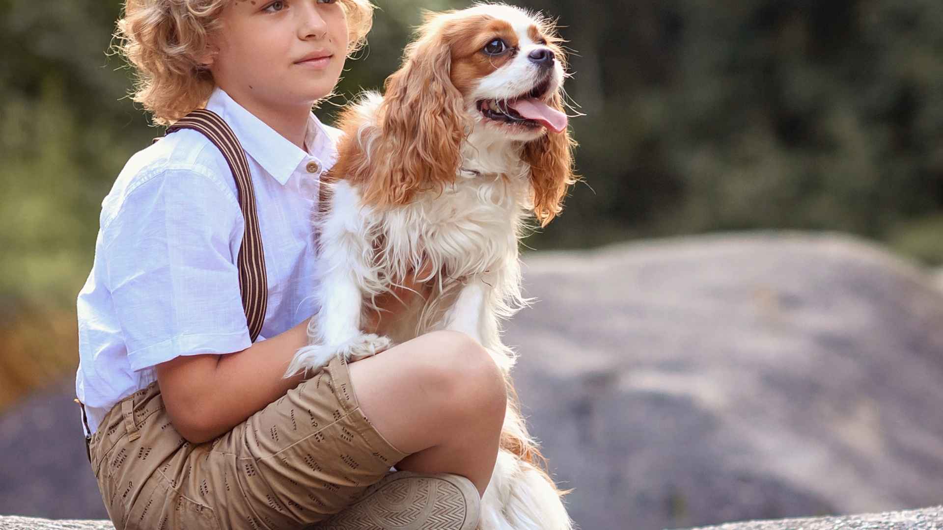 7 Dog Breeds That Love Kids Even With No Training