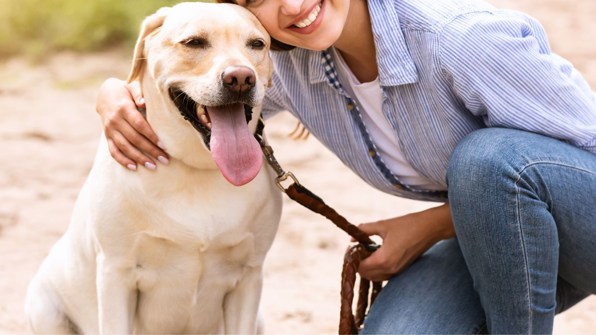 7 Dog Breeds That Love More Than Any Other Breed
