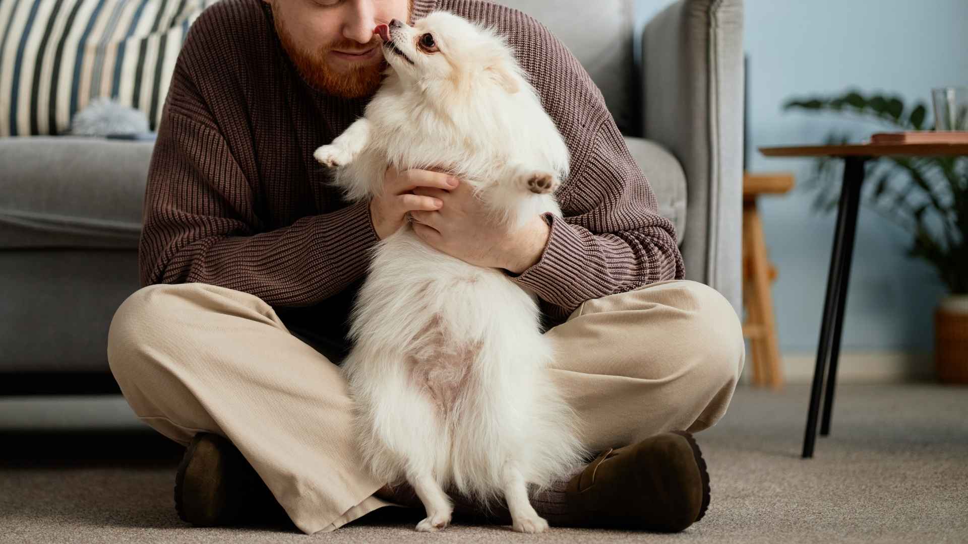 7 Dog Breeds That Nuzzle Owners Until Petted