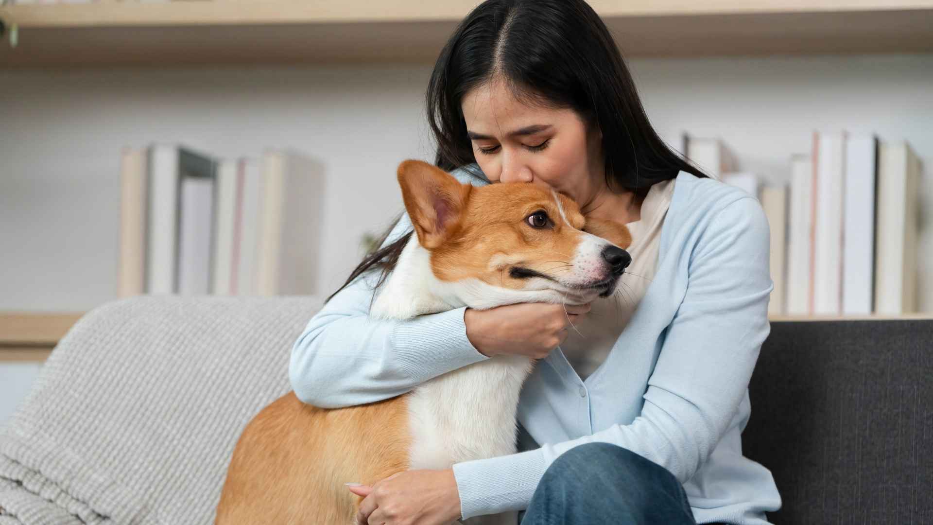 7 Dog Breeds That Sense Owners’ Sadness and Hug Them