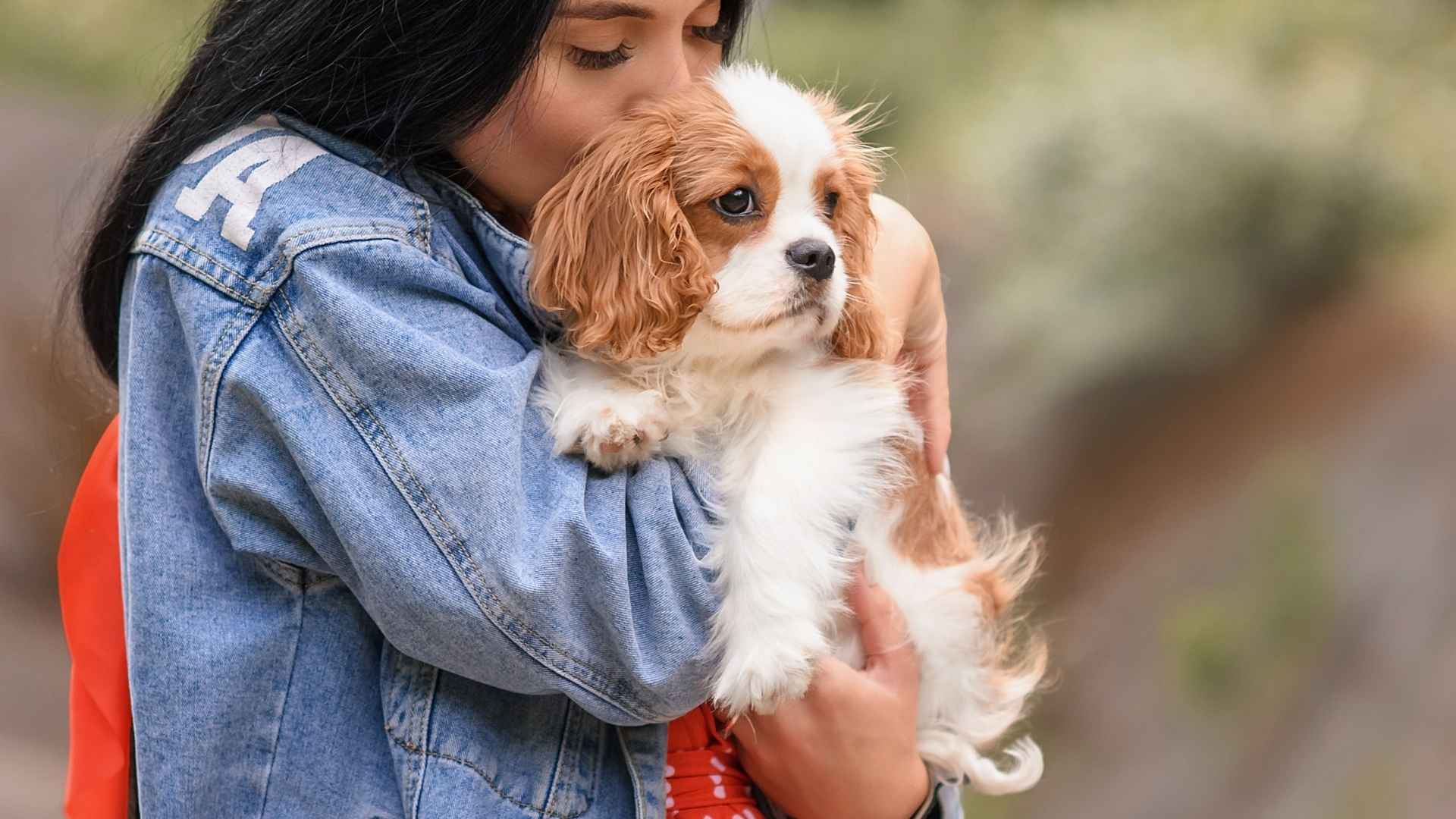 7 Dog Breeds That Show Faithfulness Constantly