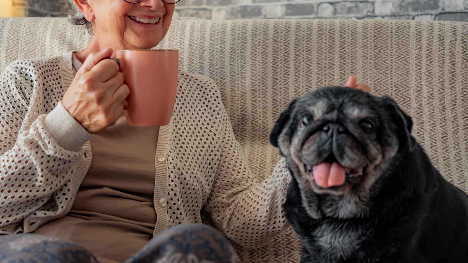 7 Dog Breeds That Sit Calmly With Seniors During Tea Time