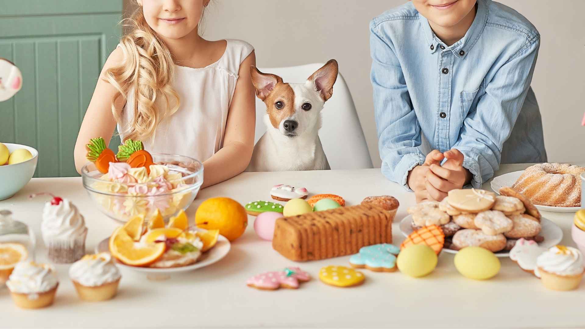 7 Dog Breeds That Sit by Kids During Family Dinners
