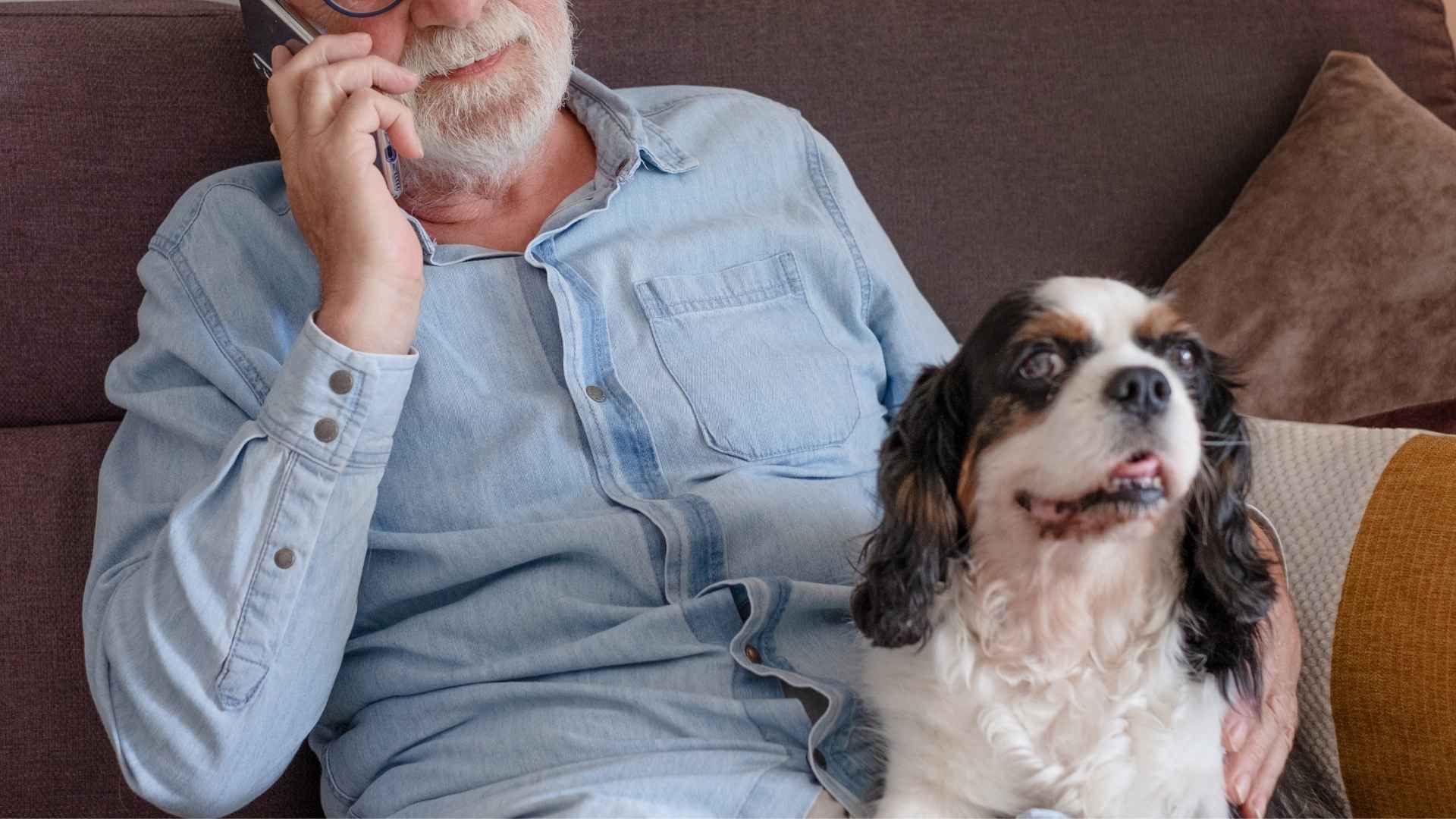 7 Dog Breeds That Wait Quietly Beside Owners On Calls