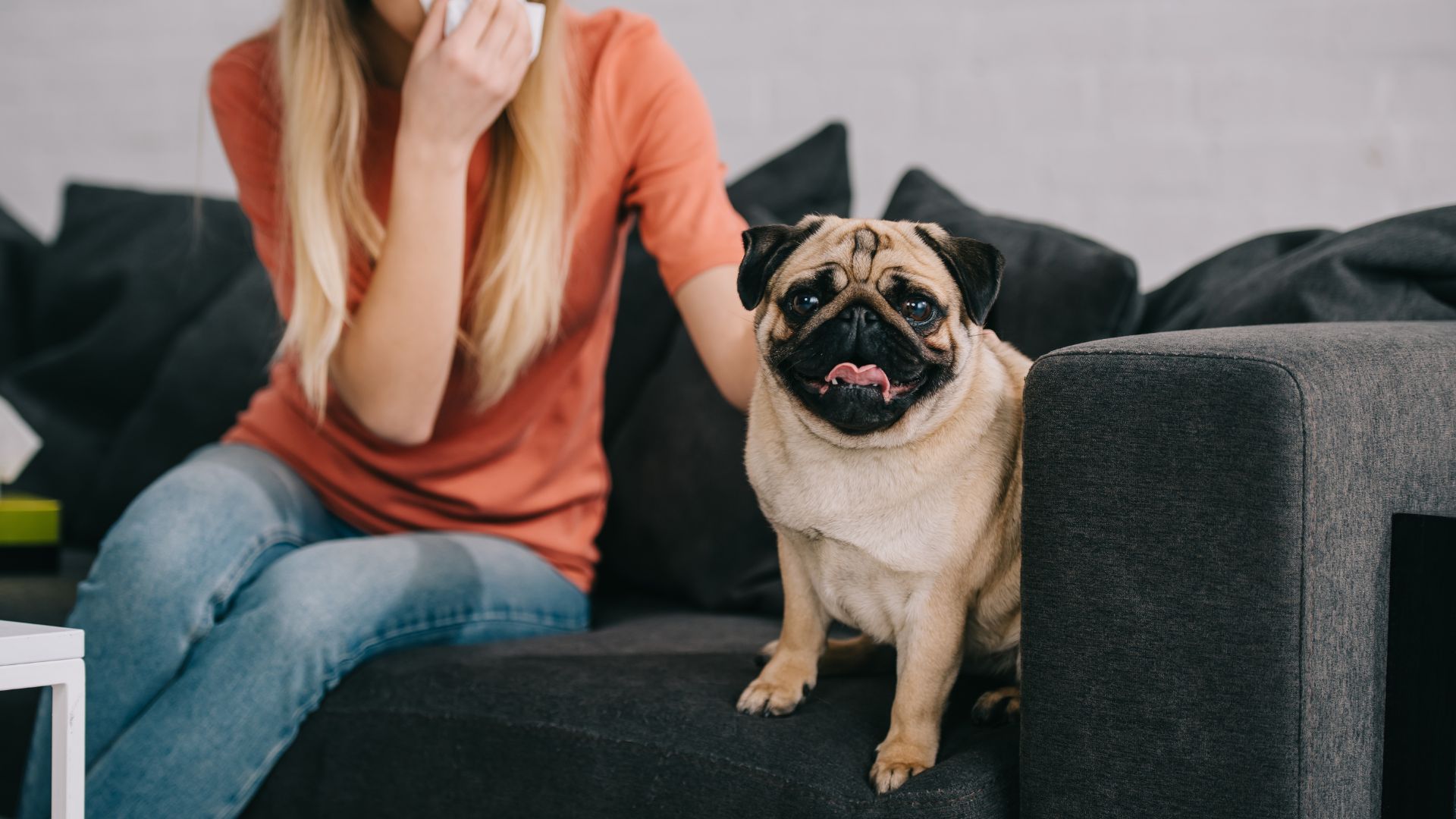 7 Dog Breeds To Avoid If You Have Health Concerns