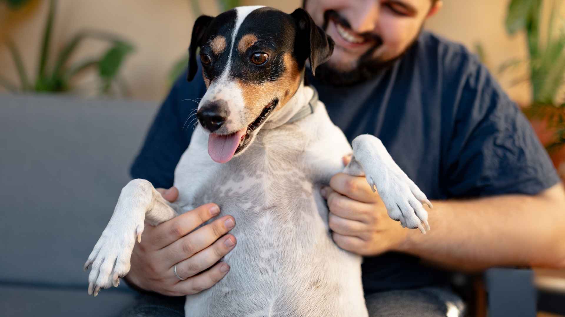 7 Dog Breeds With Funny Quirks Owners Love