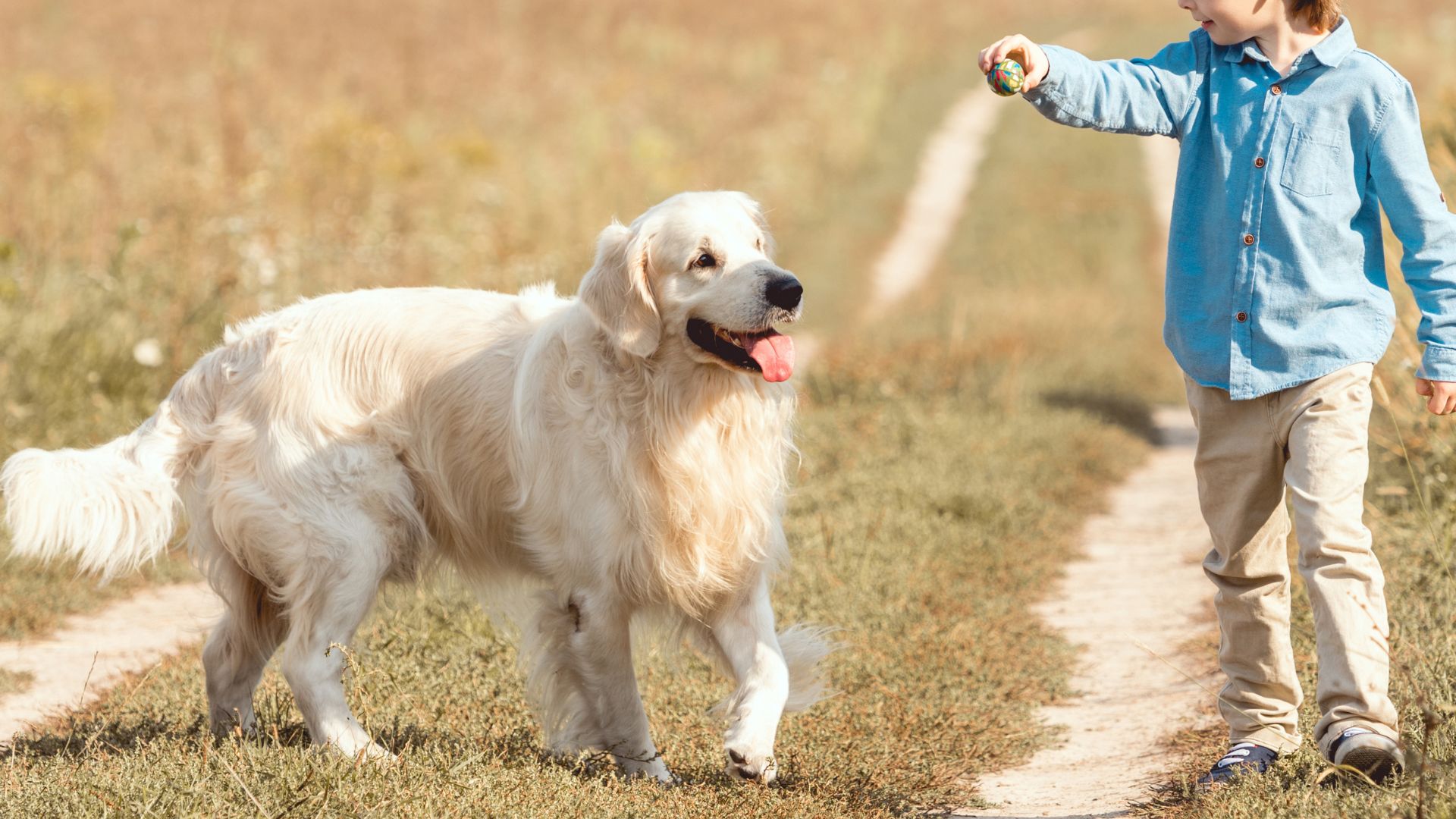 7 Dog Breeds that are Great at Teaching Children Responsibility