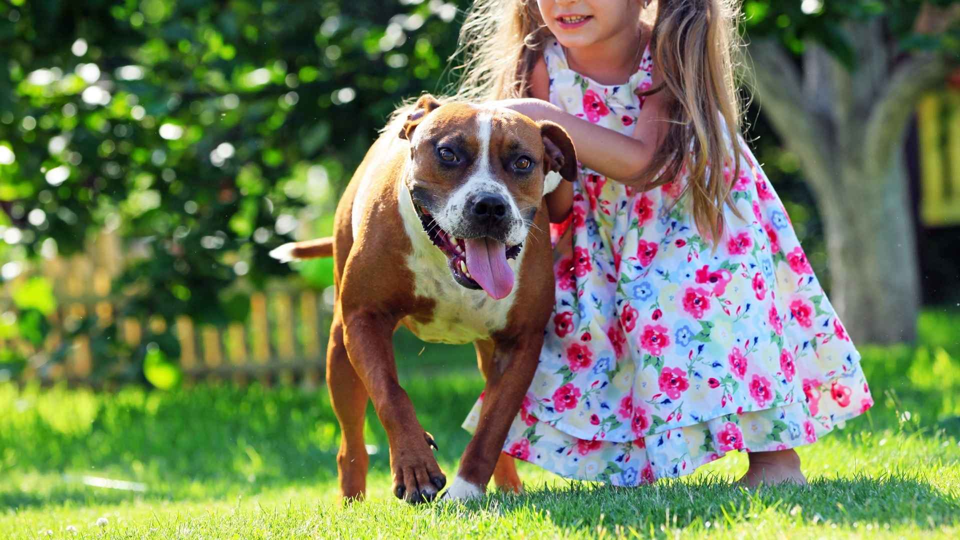 7 Guard Dog Breeds For Kids That Can Be Left Alone