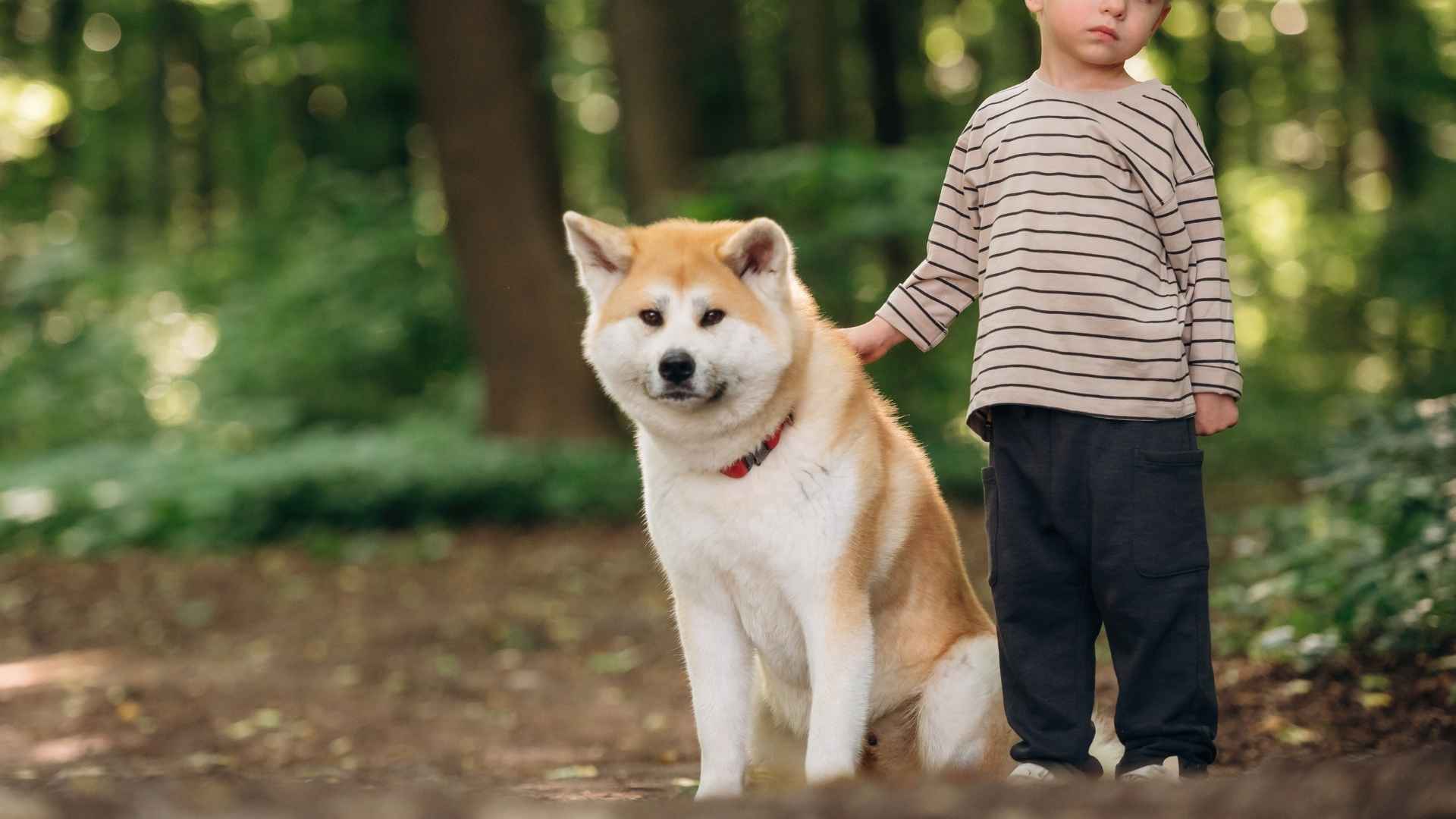 7 Guard Dog Breeds for Kids That Don't Bark Much