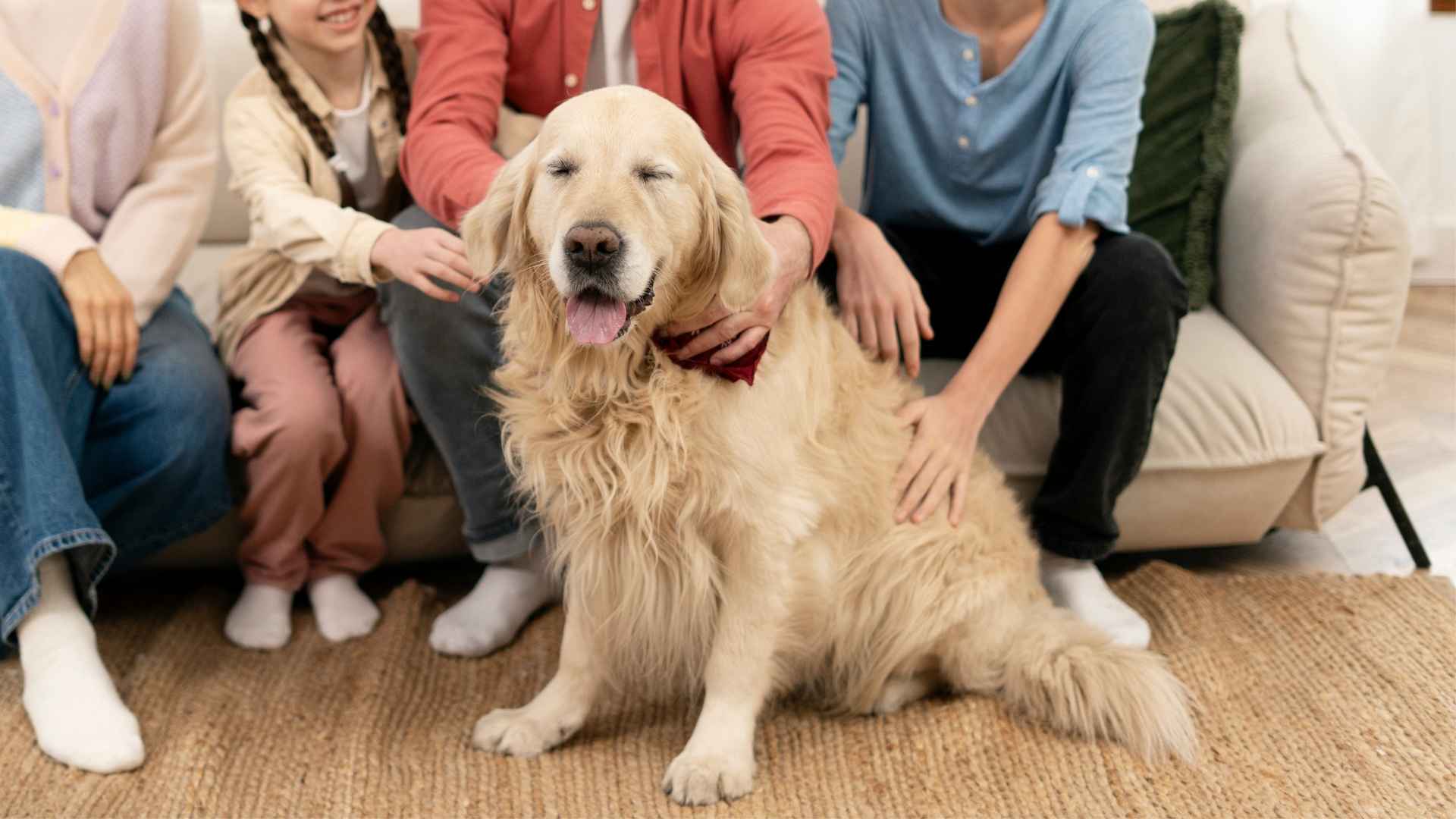 7 Happiest Dog Breeds Every Family Will Love