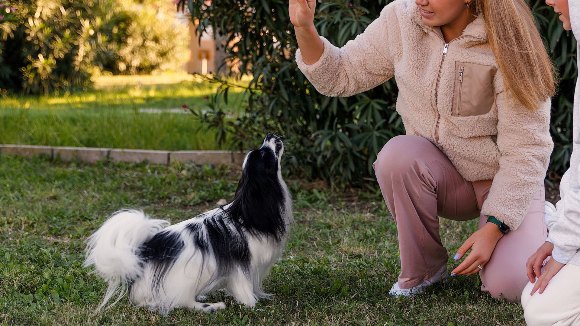 7 Intelligent Dog Breeds That Never Fail an IQ Test