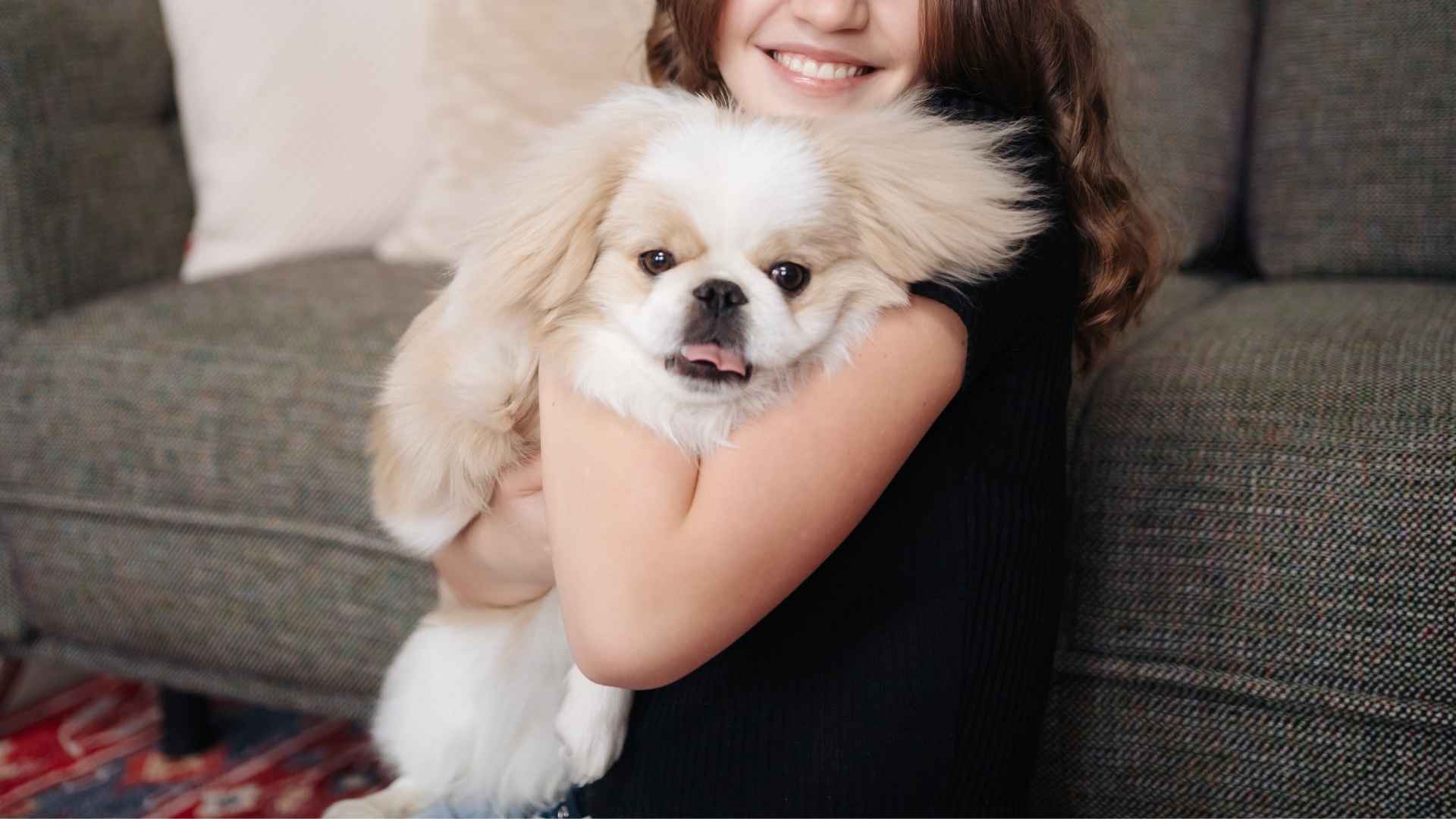 7 Loving Dog Breeds That Make Life Whole