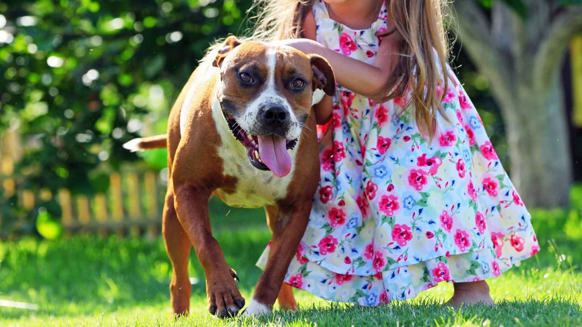 7 Loyal Dog Breeds That Guard Kids Playing Outdoors Without Rest