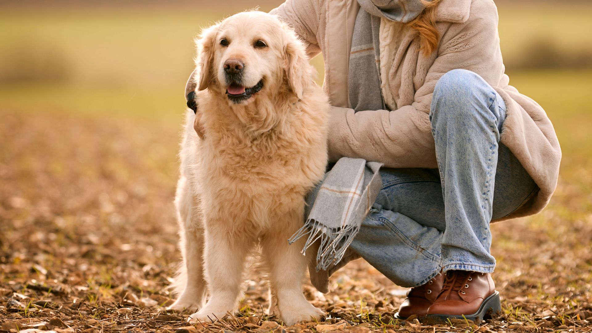 7 Most Affectionate Muscular Dog Breeds By Nature